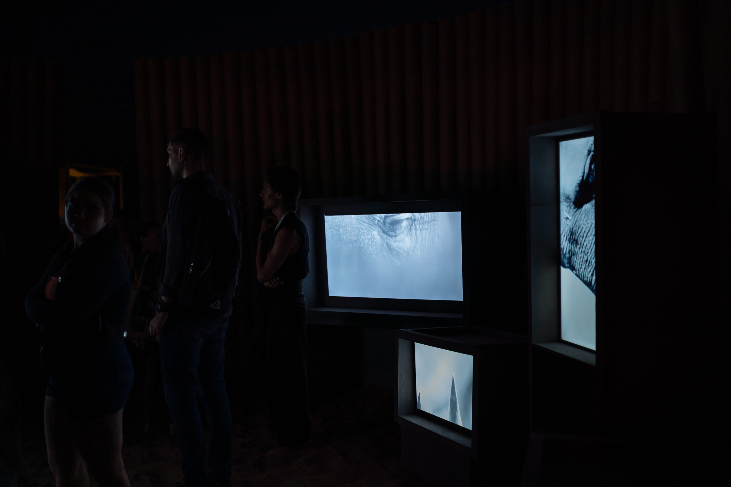 ПРЕГОЛЯ НЕ РЕКА. Художественная группа «Нежные Бабы»