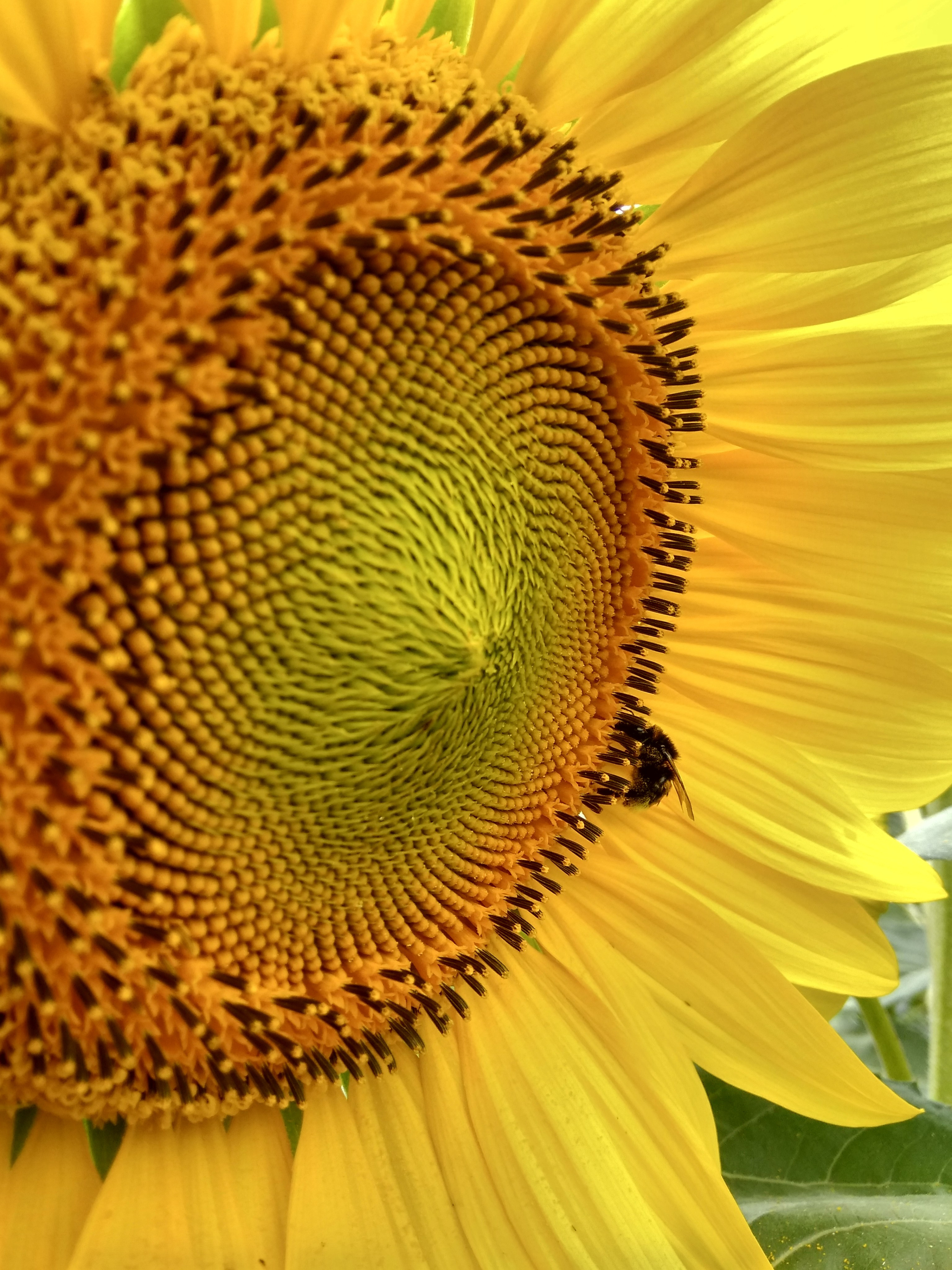 Семейный и детский фотограф в Воронеже