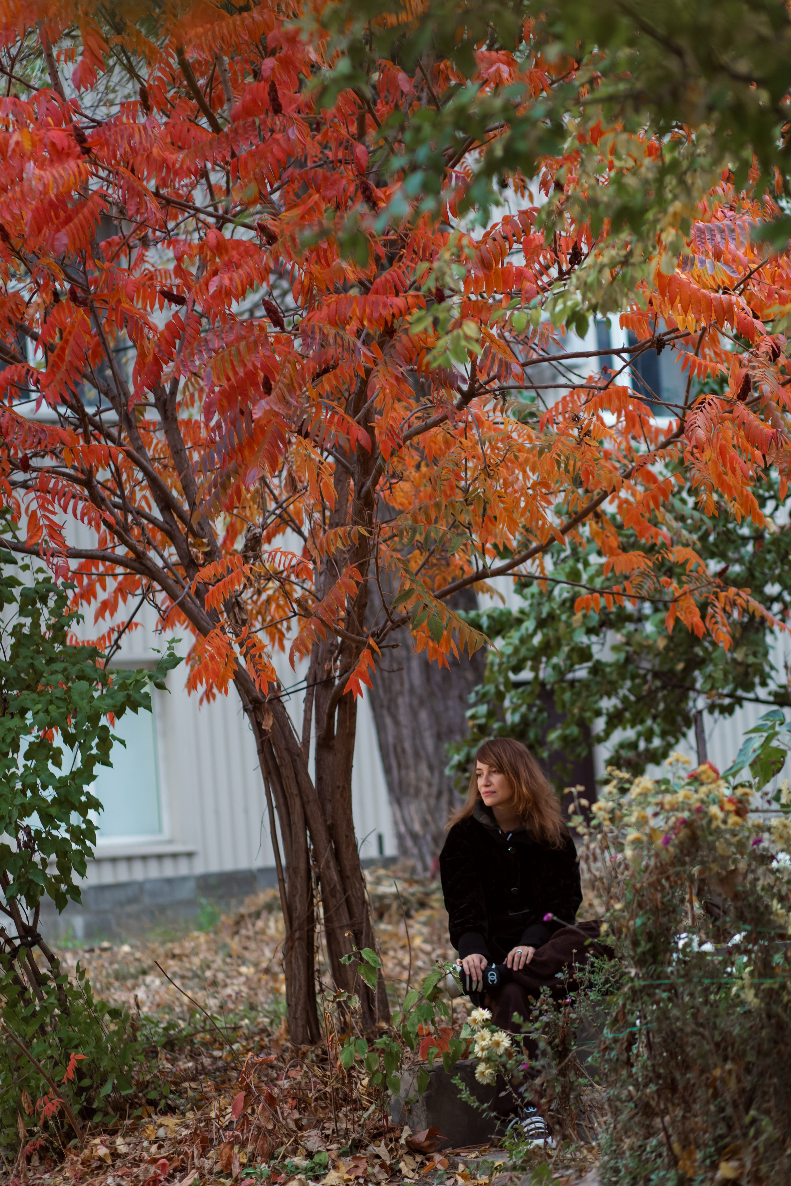 Осення фотосессия для солнечной Аревик