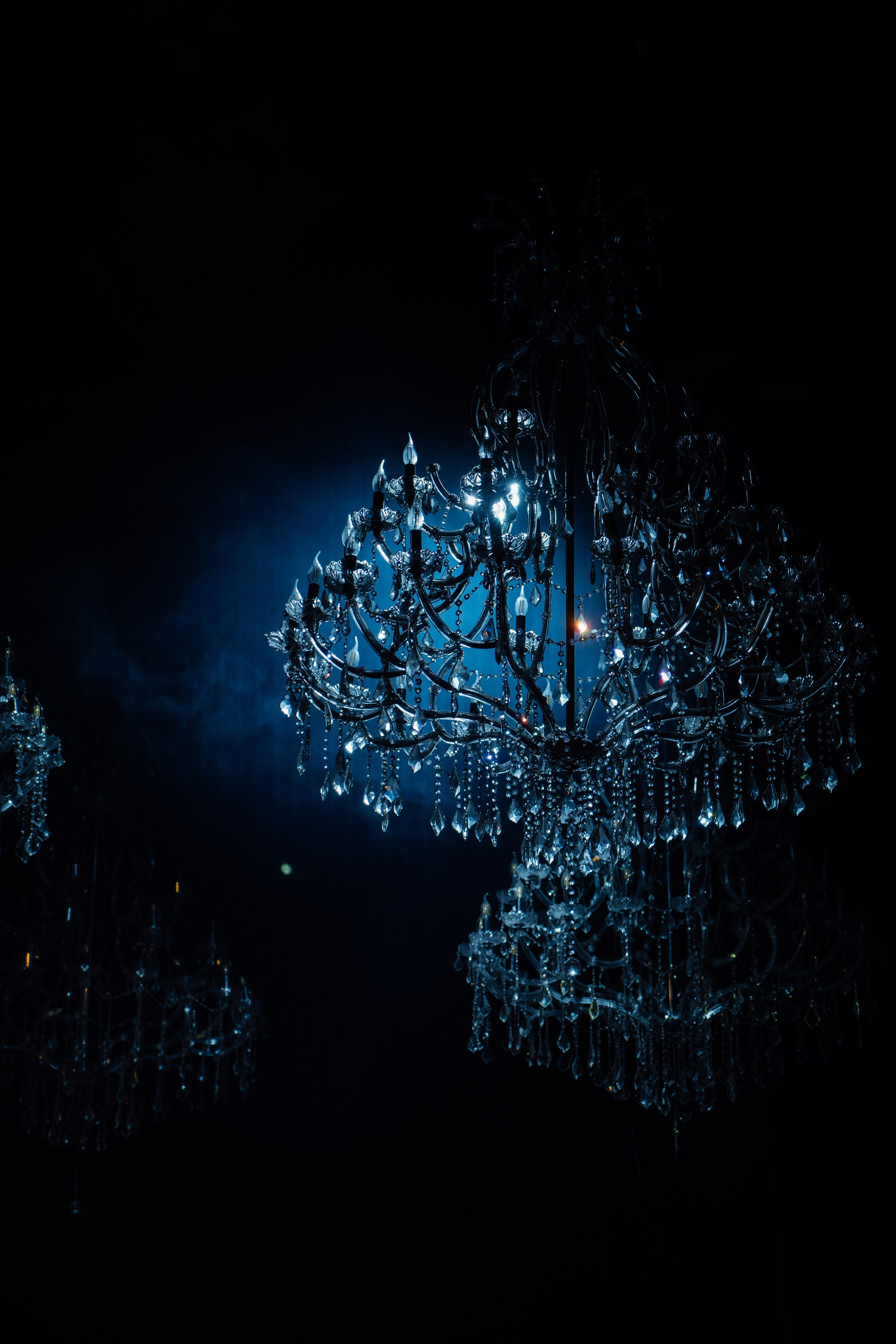 Человек Года 2024. Свадебный и репортажный фотограф видеограф Брянск/Москва