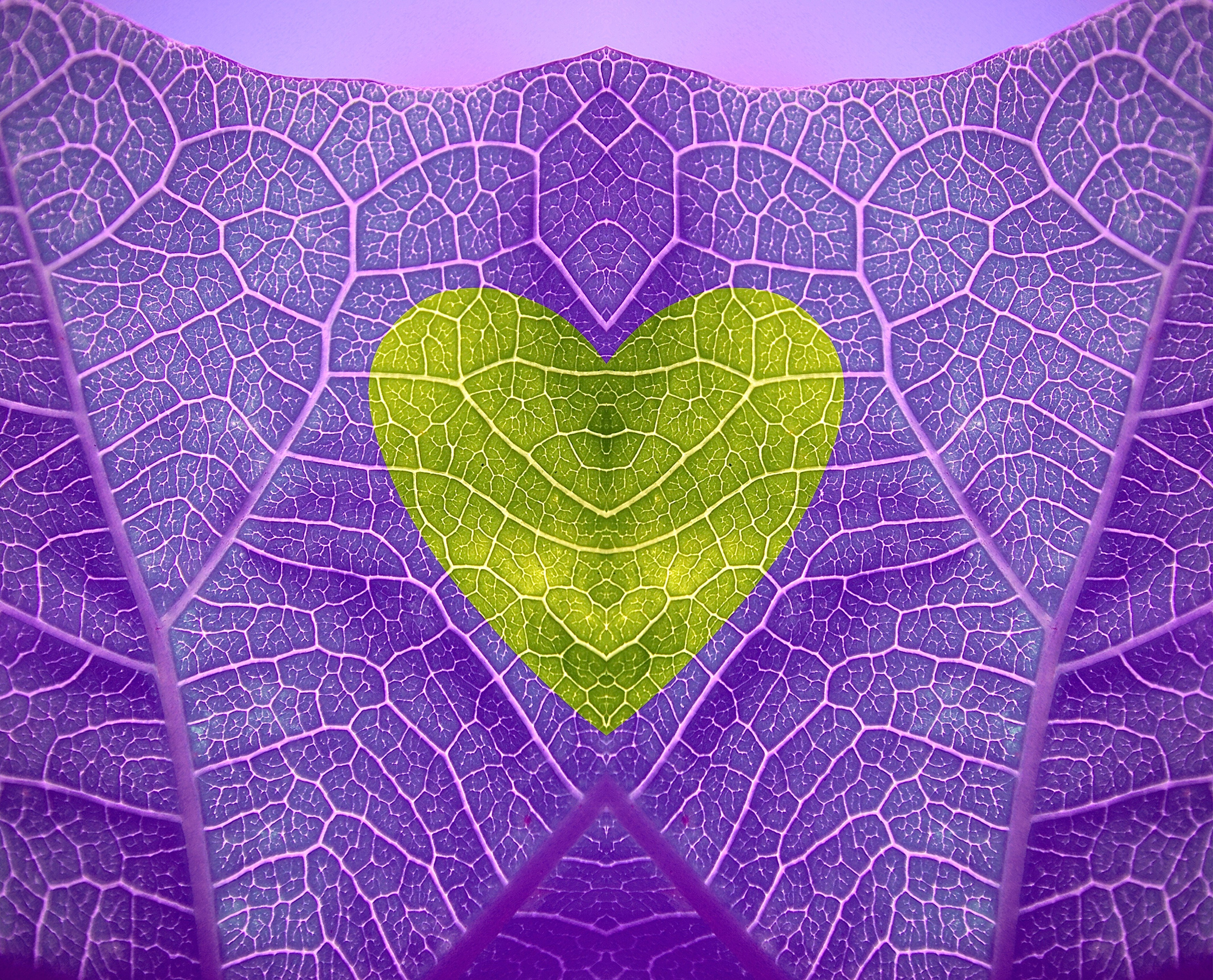 Коллажи. Сайт Фотографа MASHASOLAR