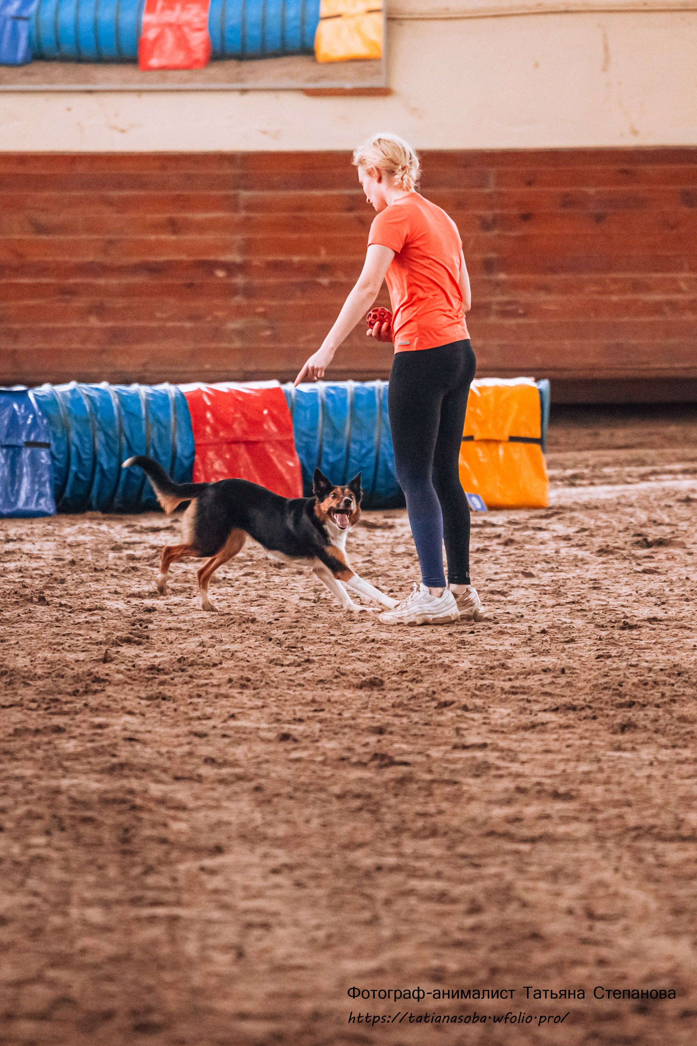 Соревнования по Аджилити 25.02.2024. Фотограф-анималист Татьяна Степанова