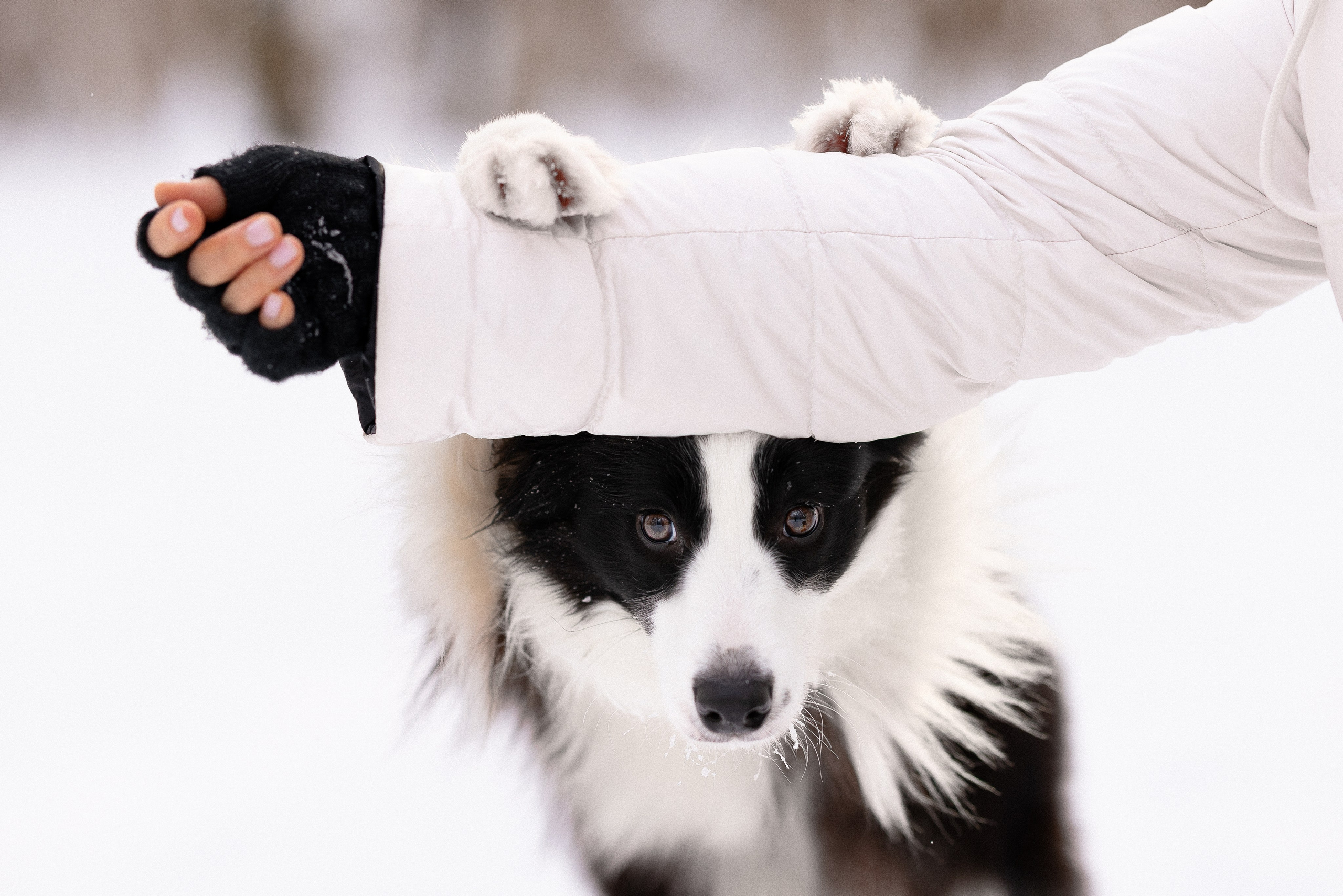 Лилия, Алексей и Ариана. Фотограф и видеограф анималист Аганина Дарья