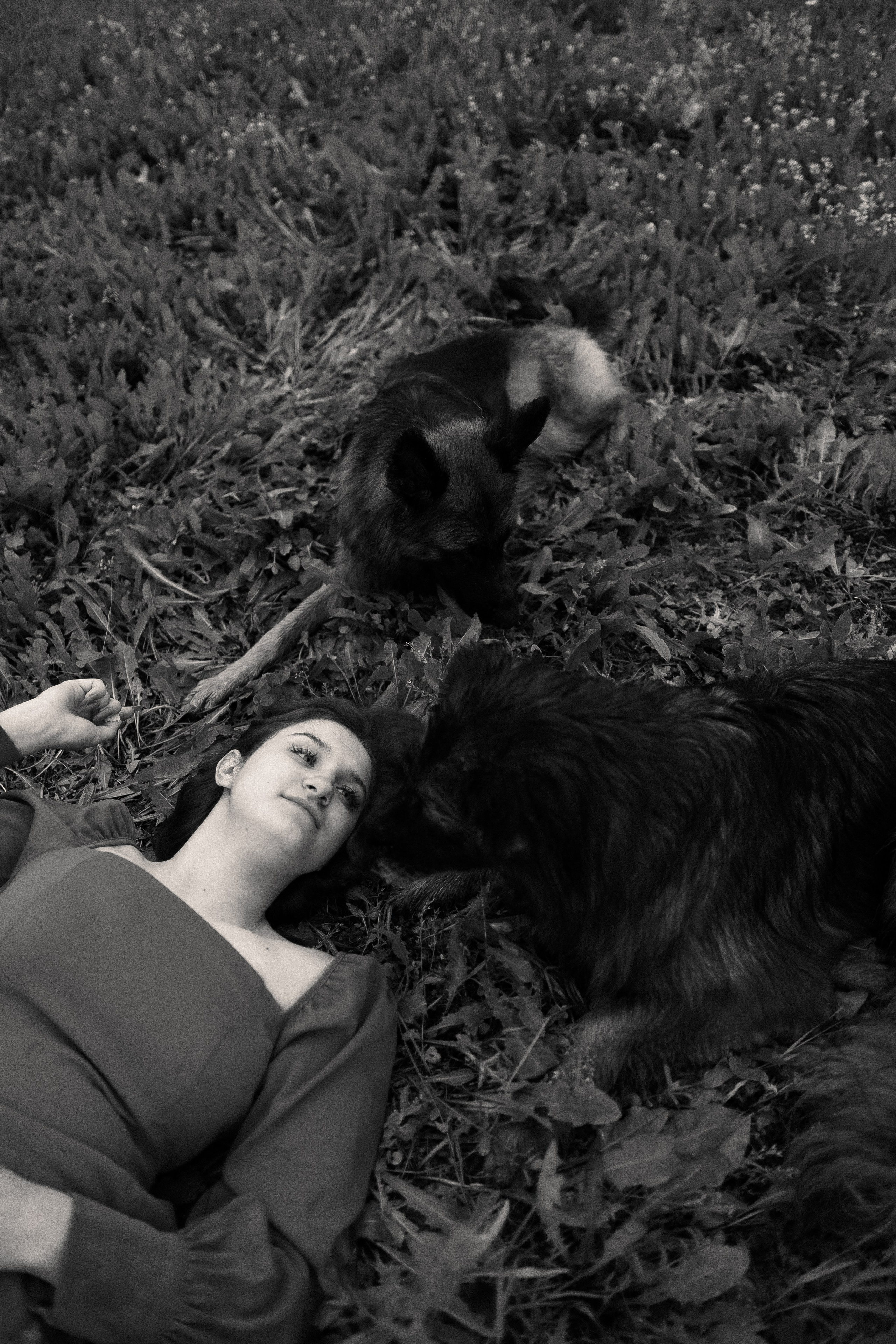 Алена, Фанни и Фрея. Фотограф и видеограф анималист Аганина Дарья