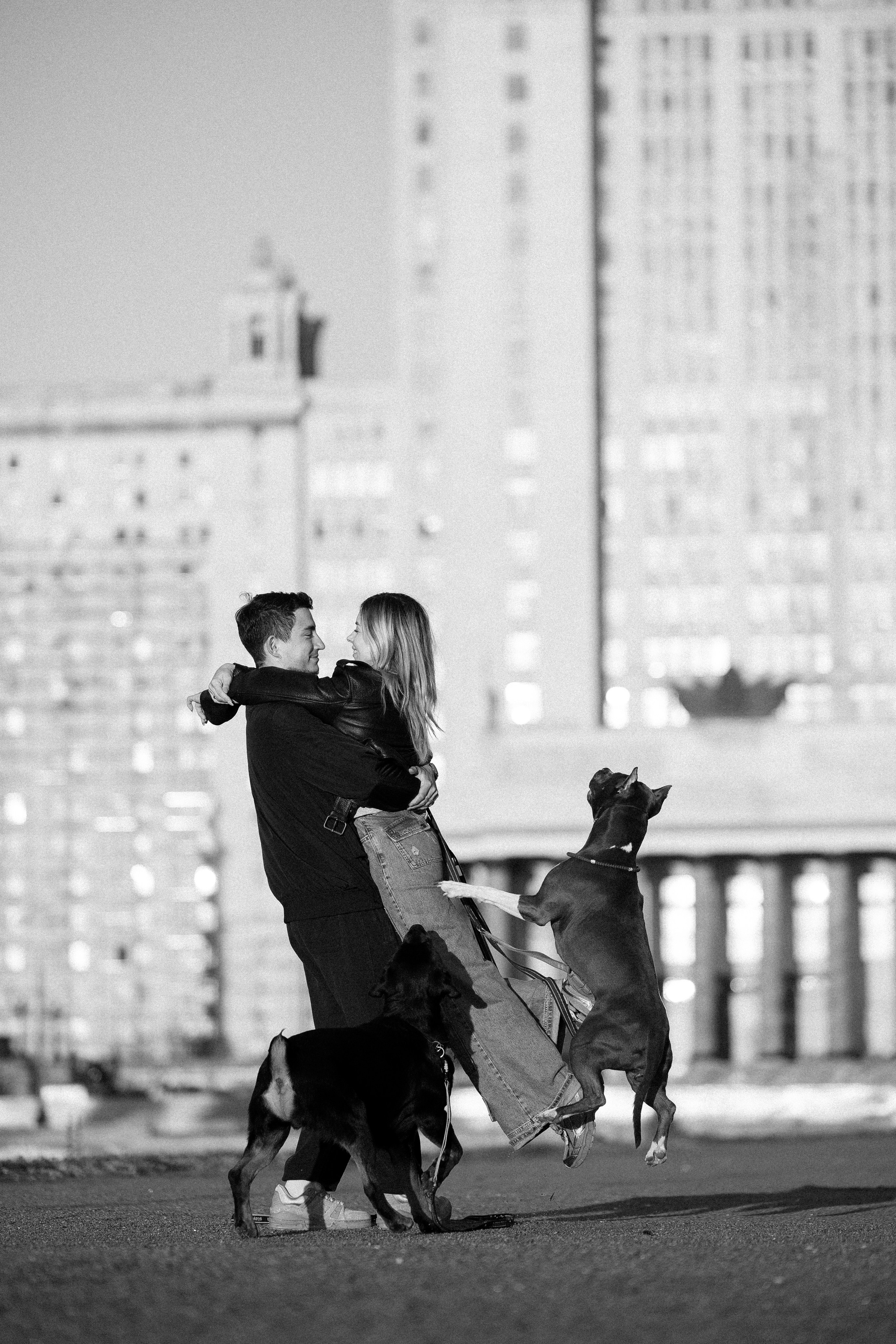 Катя, Леша, Лея и Трой. Фотограф и видеограф анималист Аганина Дарья