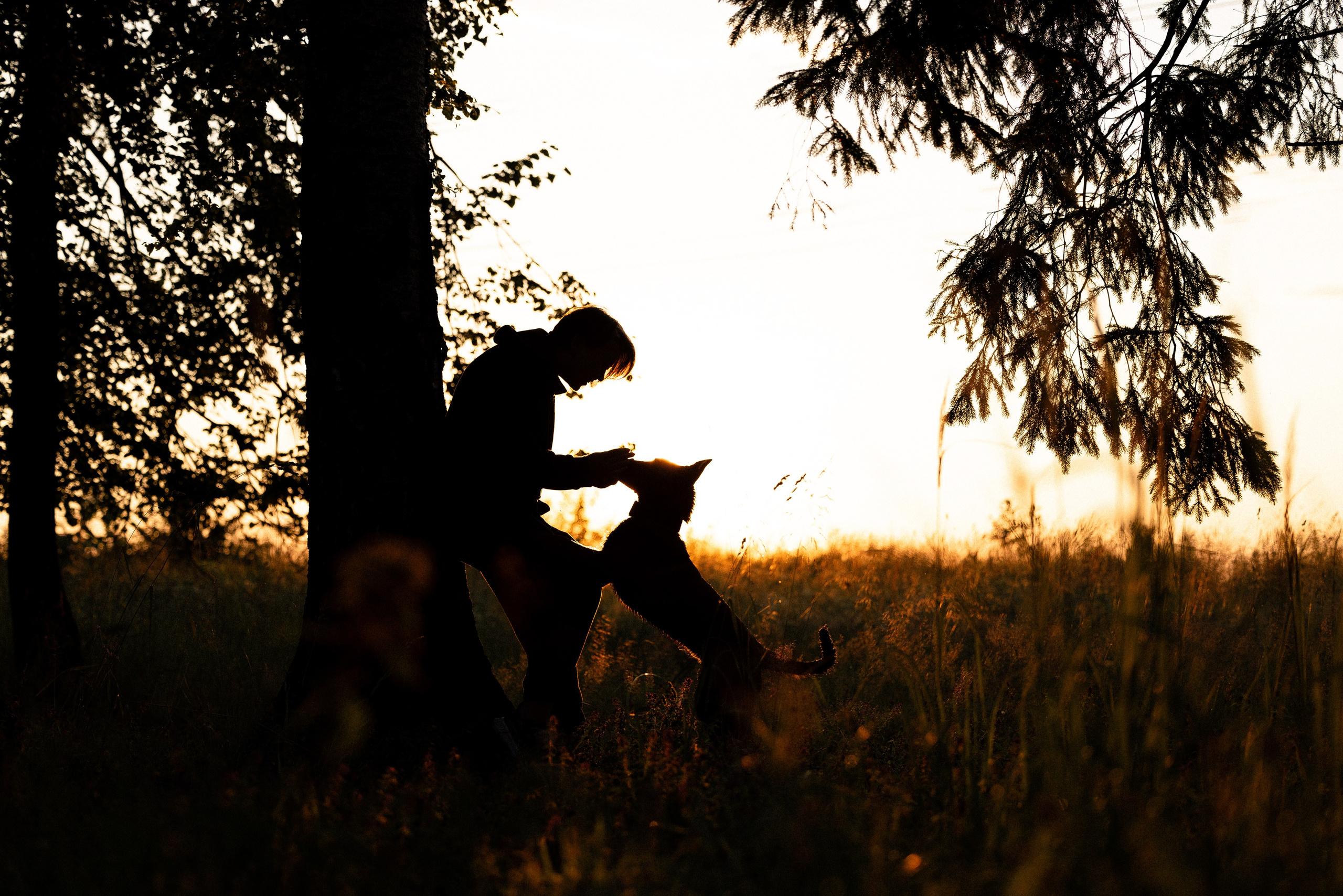 Галина и Лоя. Фотограф и видеограф анималист Аганина Дарья