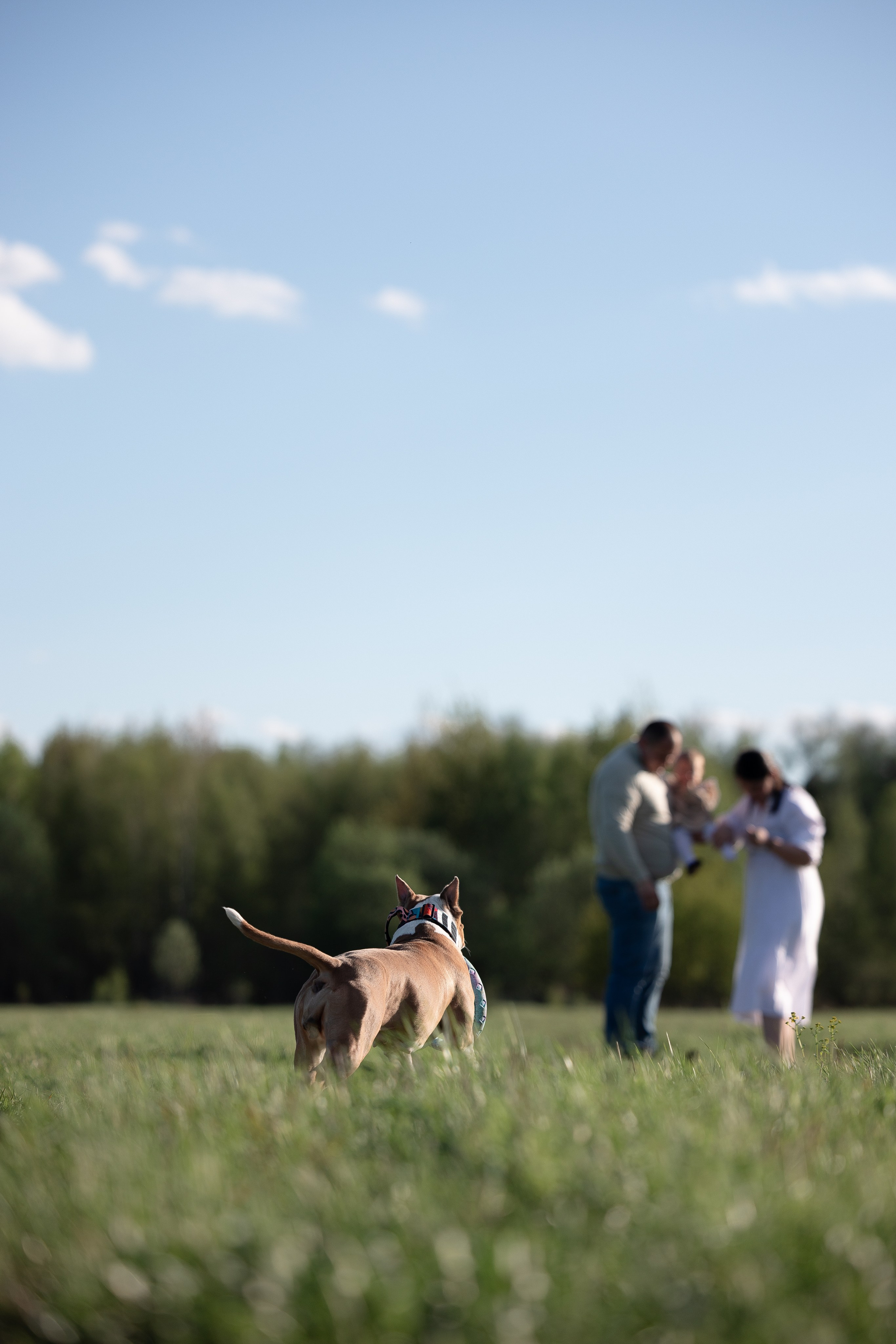 Шуня и ее семья. Фотограф и видеограф анималист Аганина Дарья