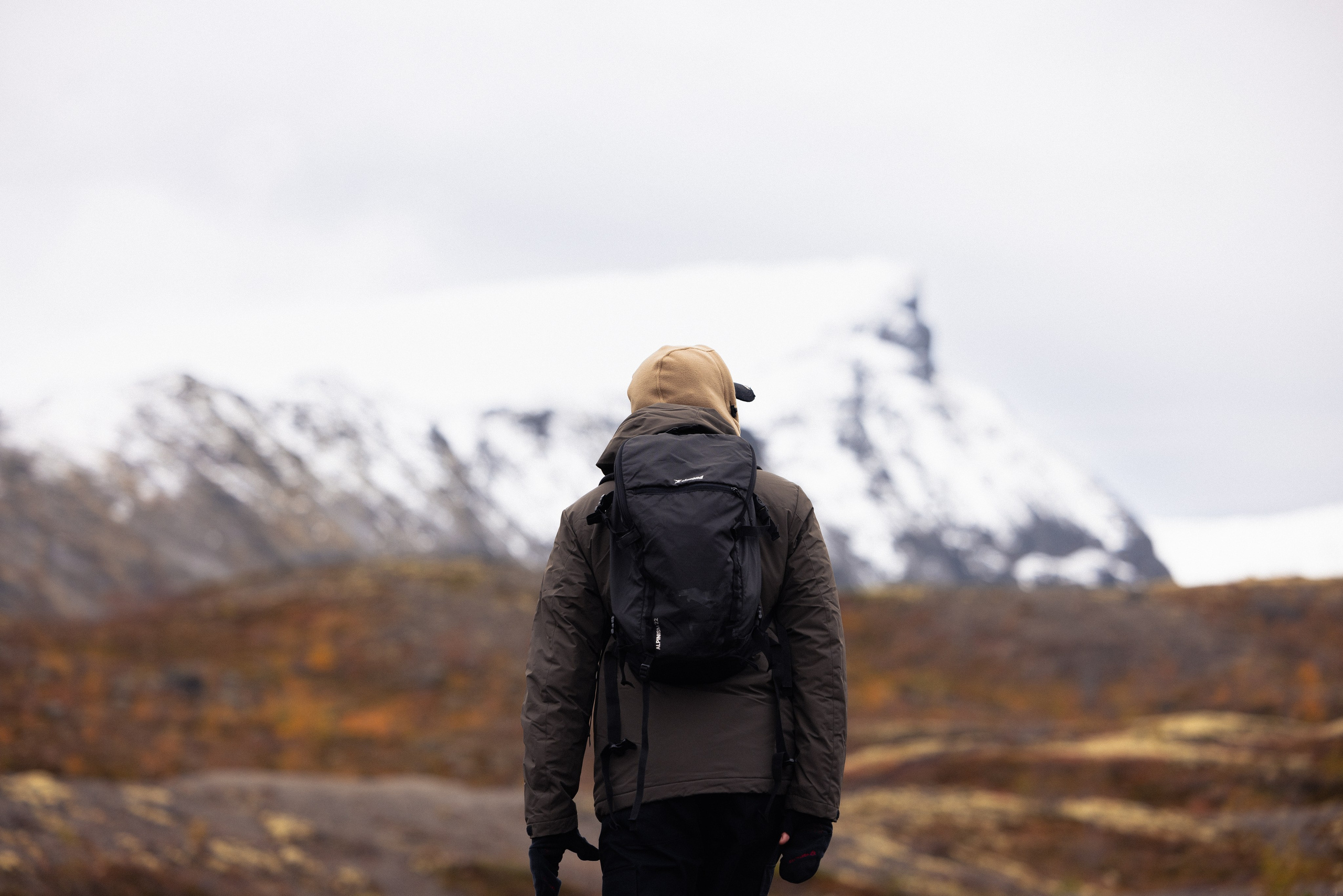 Кольский. Фотограф и видеограф анималист Аганина Дарья