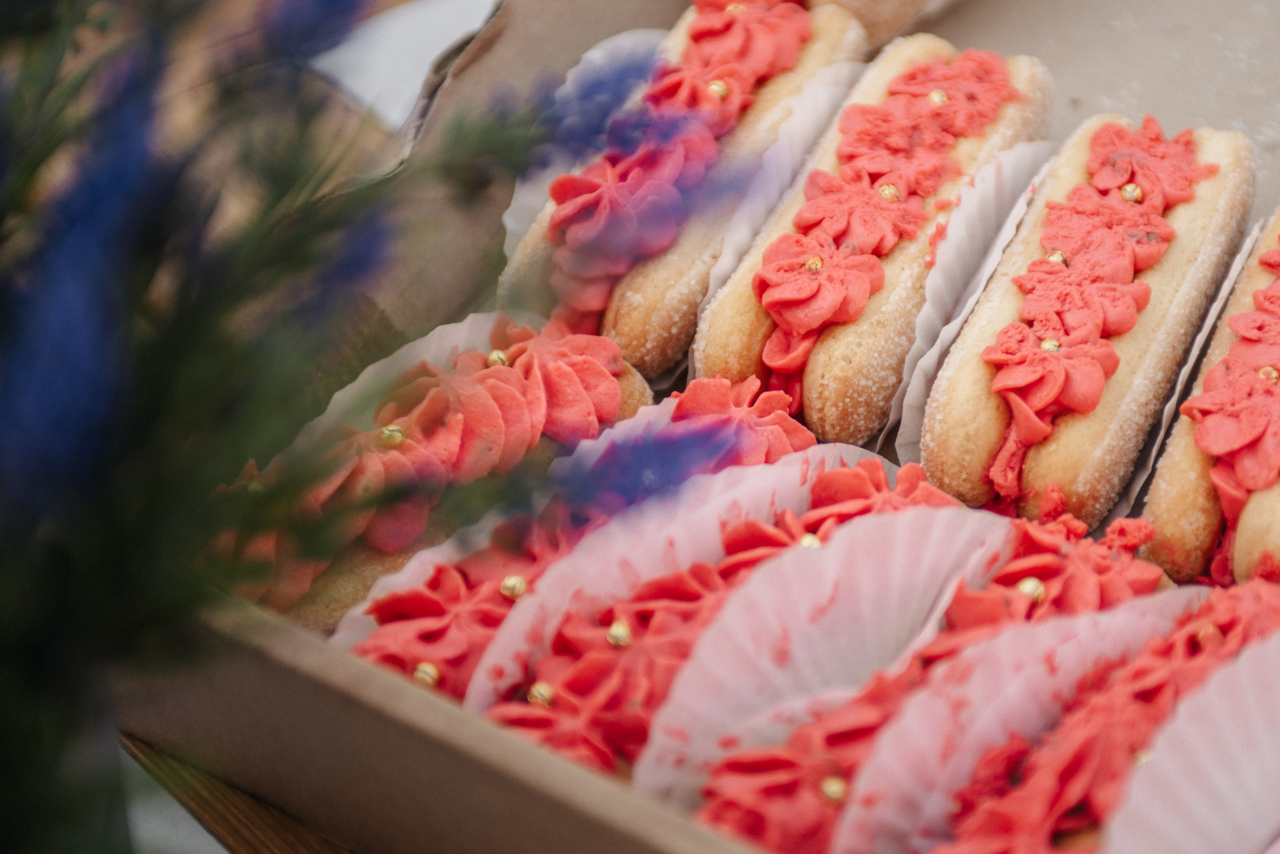 Гендер пати. Ph.proulints