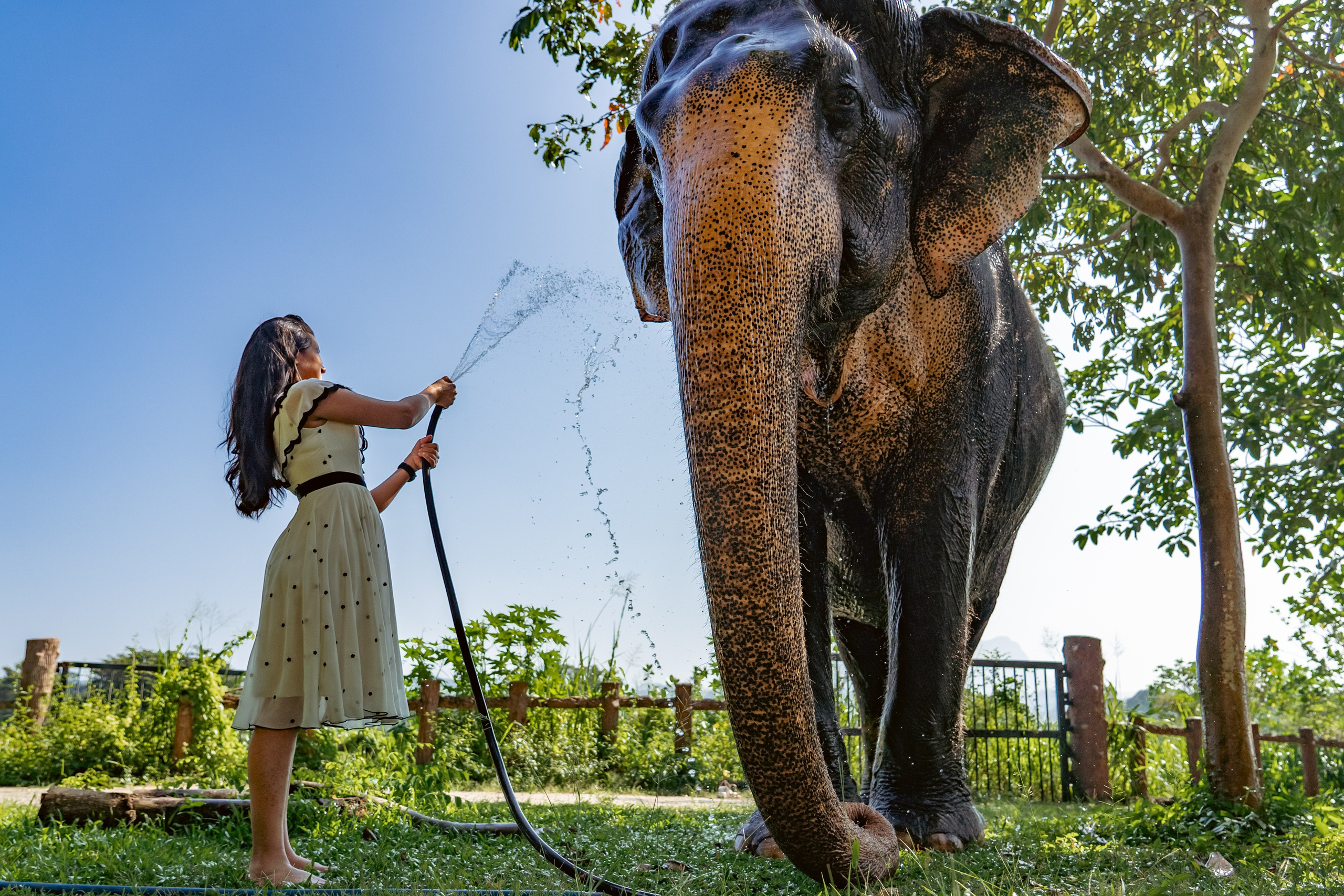 Promo content shooting for Ceylon Forward Tours