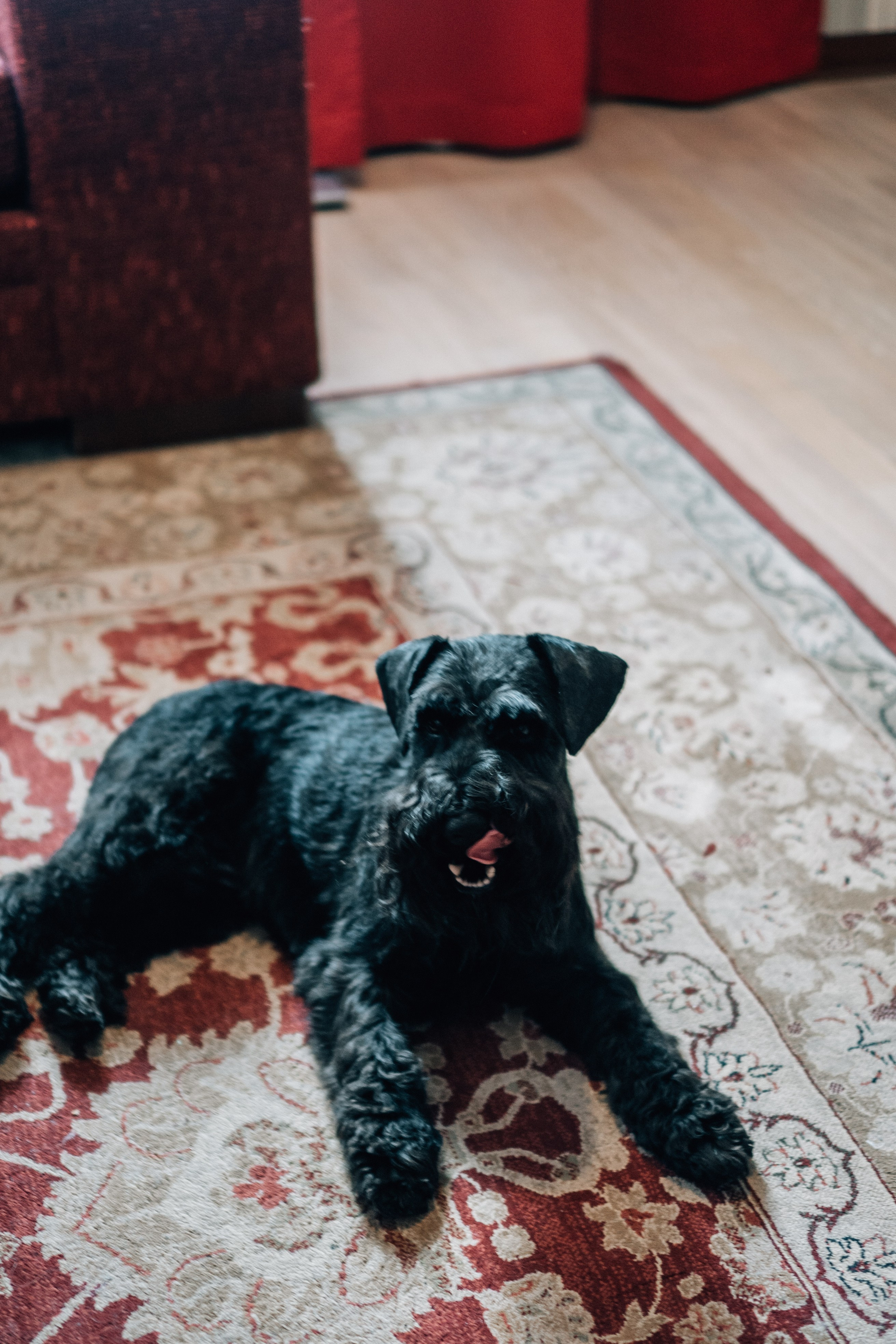 ДЕНЬ РОЖДЕНИЯ. Профессиональный фотограф, Санкт-Петербург — Виктория Богомолова
