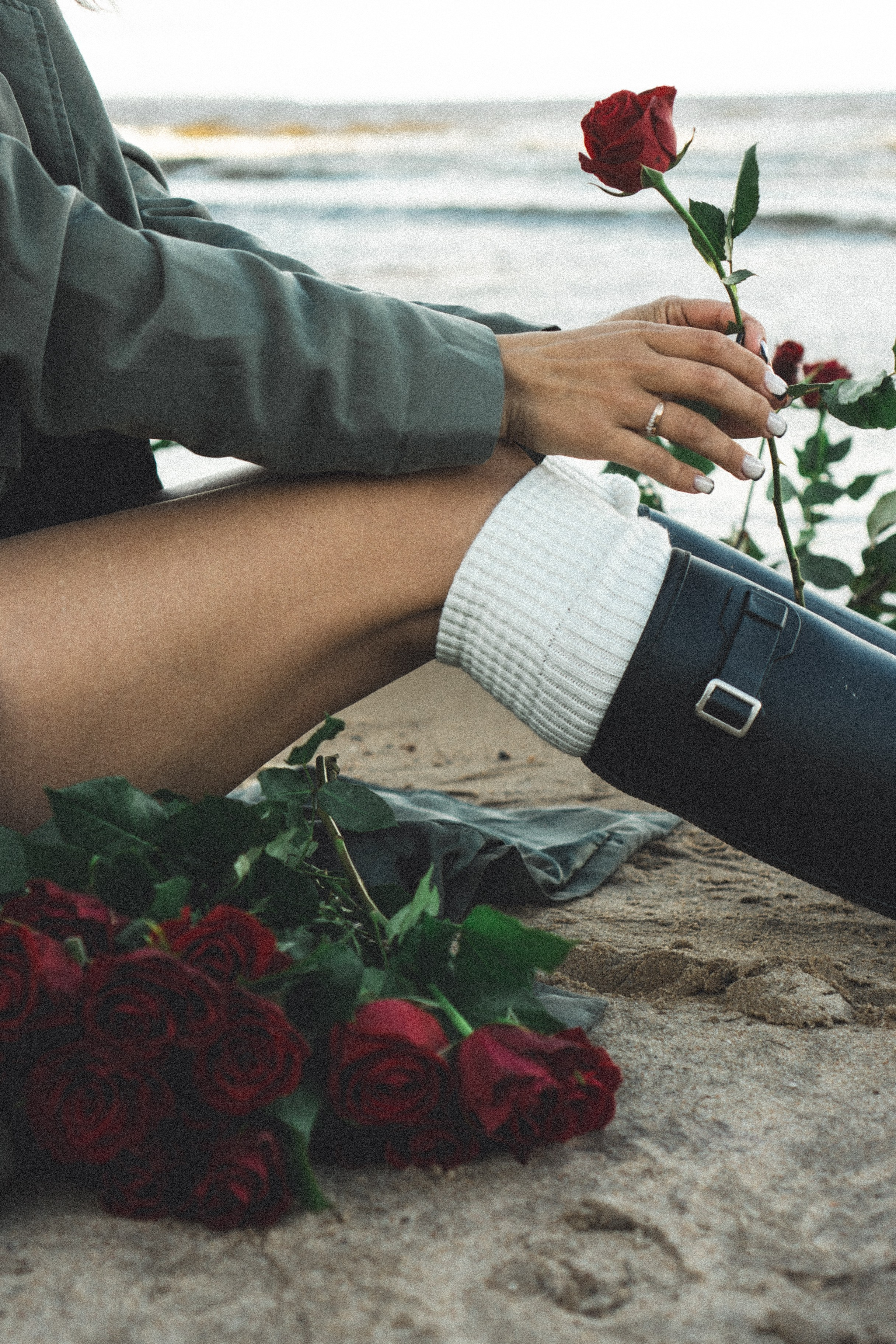 Розы. Профессиональный фотограф, Санкт-Петербург — Виктория Богомолова