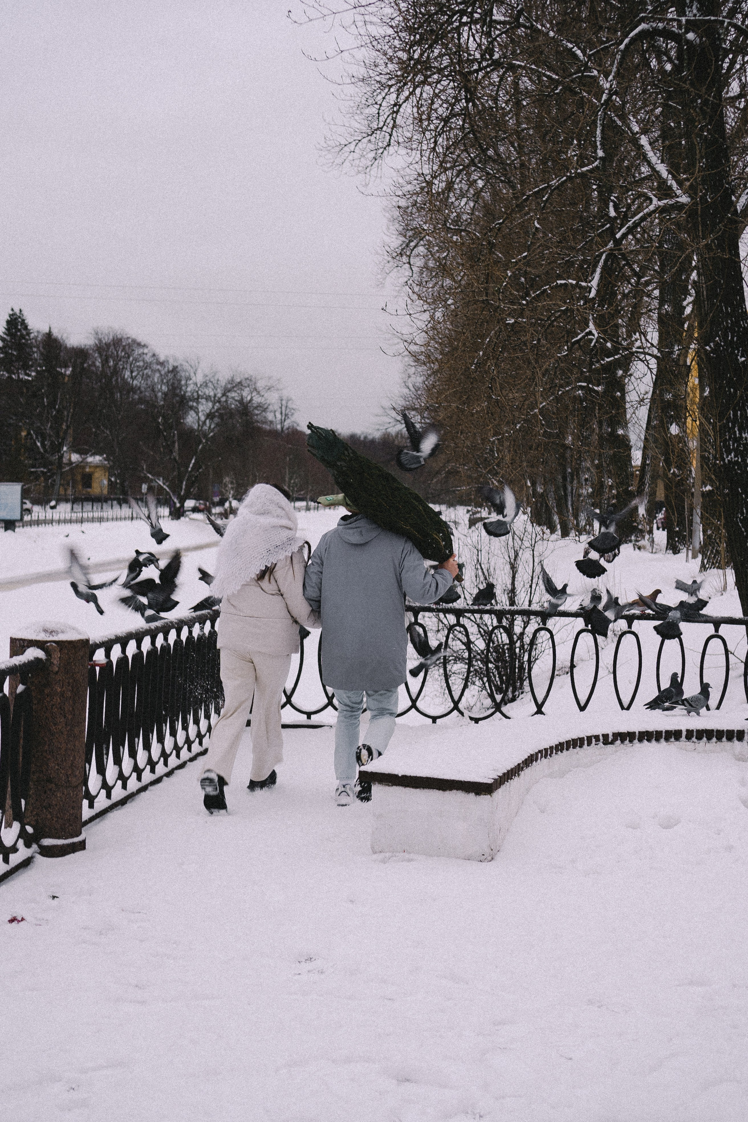 Зимняя история. Профессиональный фотограф, Санкт-Петербург — Виктория Богомолова