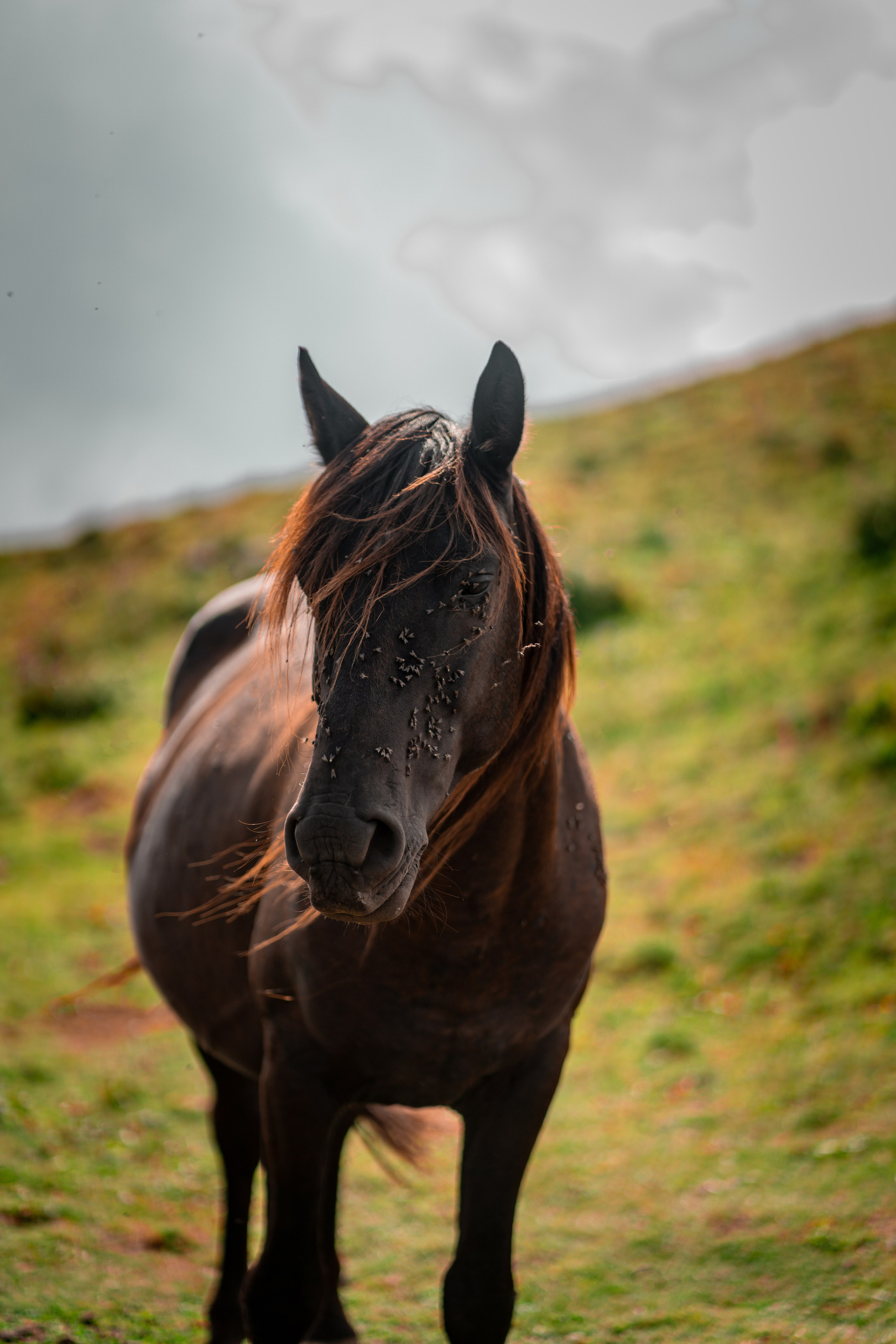 Сочи. Фотограф Александра Волкова | Волгоград