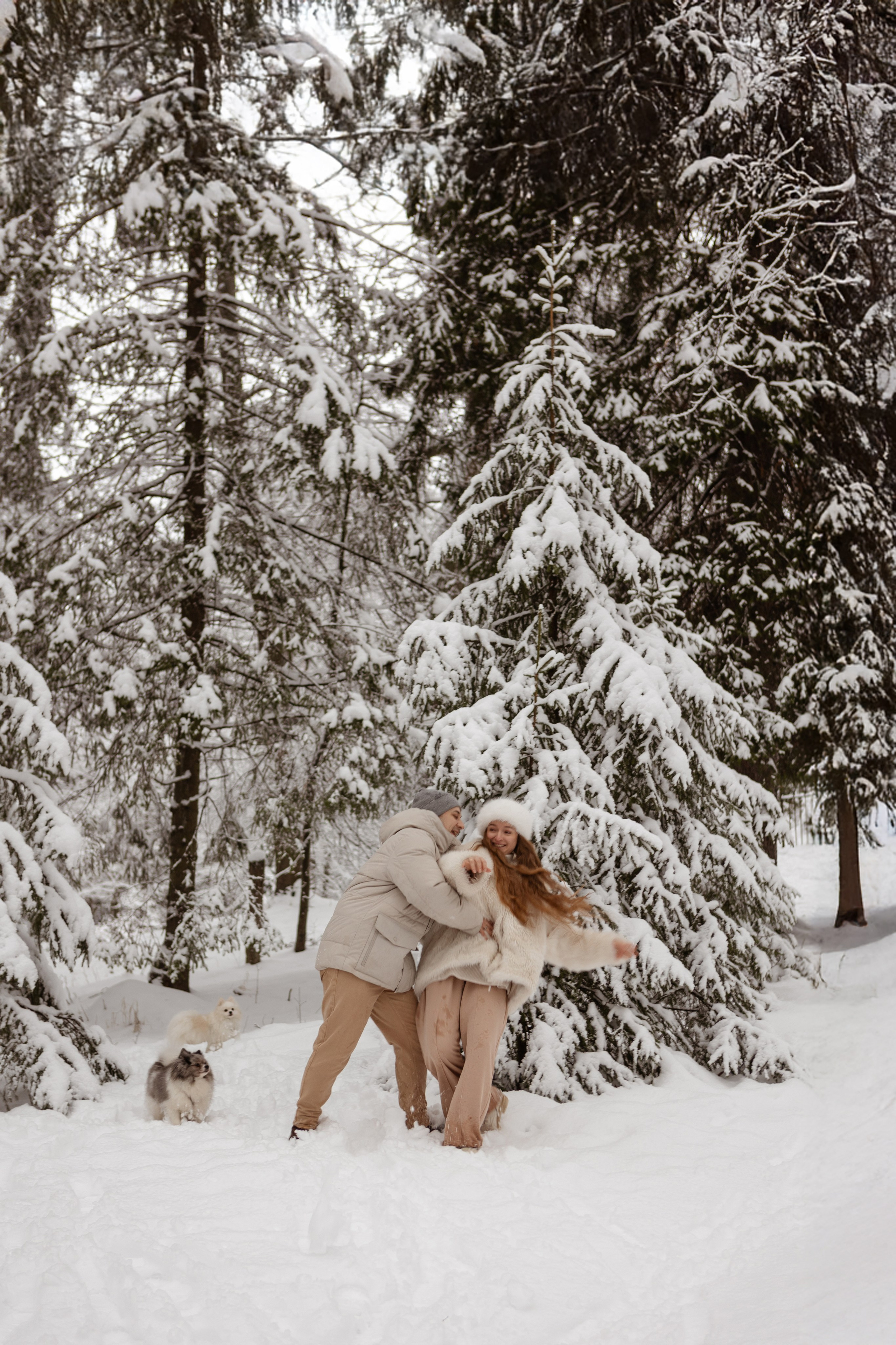 Новогодняя фотосессия с собачками в шуваловском парке. Свадебный фотограф в СПБ | Санкт-Петербурге Анастасия Рахимгулова