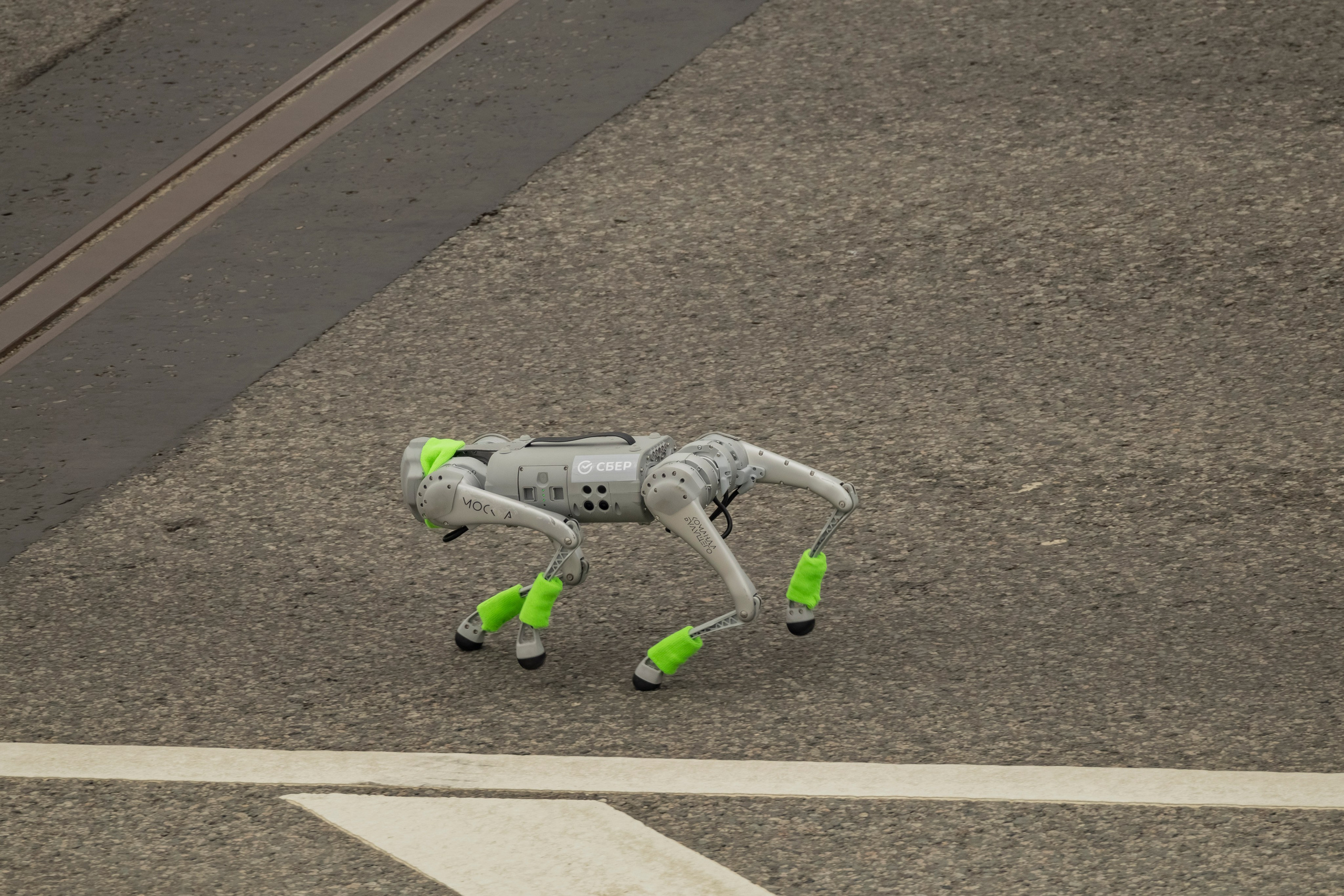 Сбер Зелёный Марафон 2025 Балчуг. Репортажный, event, концертный и backstage фотограф из Москвы Виталий Кривцов