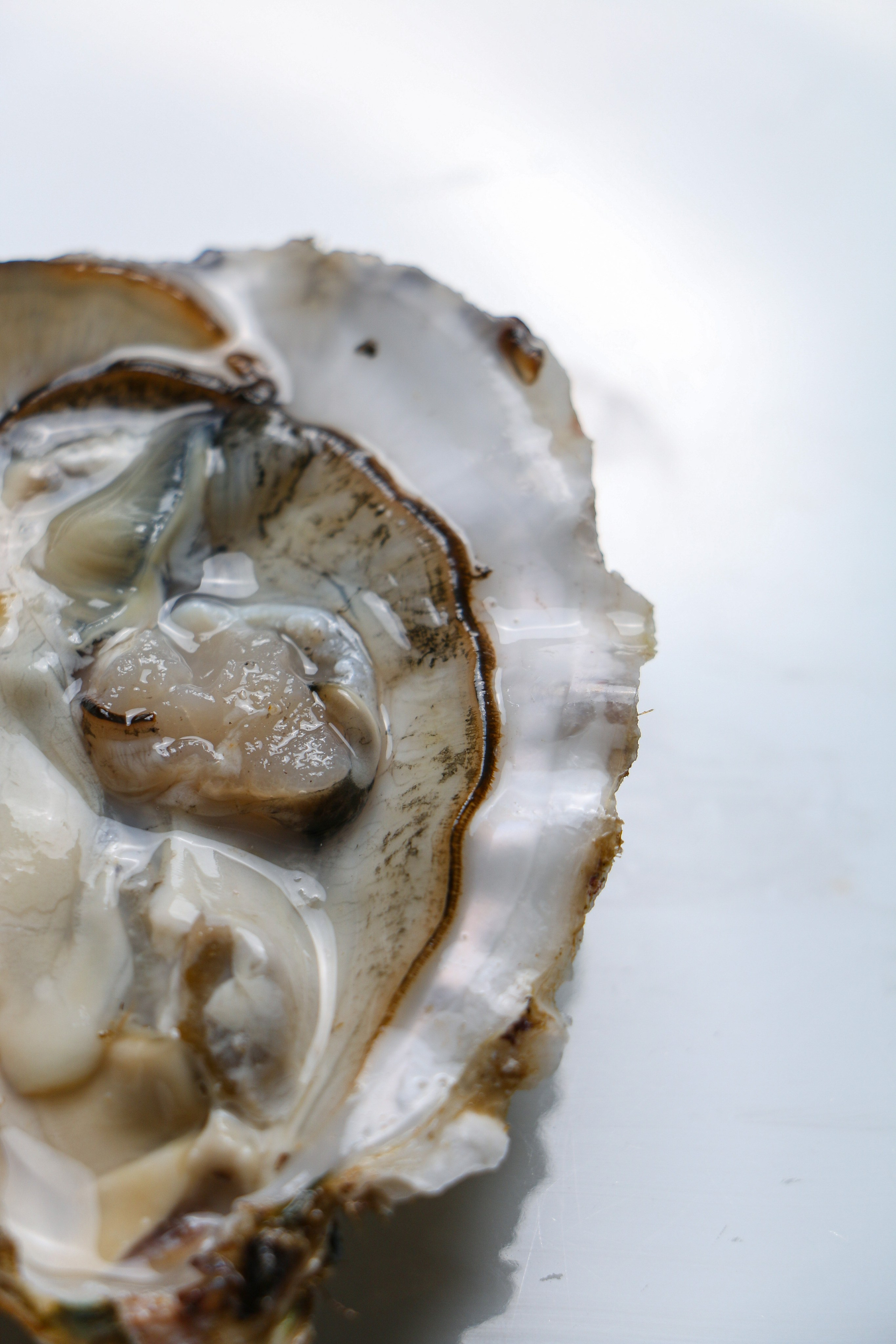 Dolce vita. Контент-фотограф Калининград АНАСТАСИЯ ТКАЧЕВА