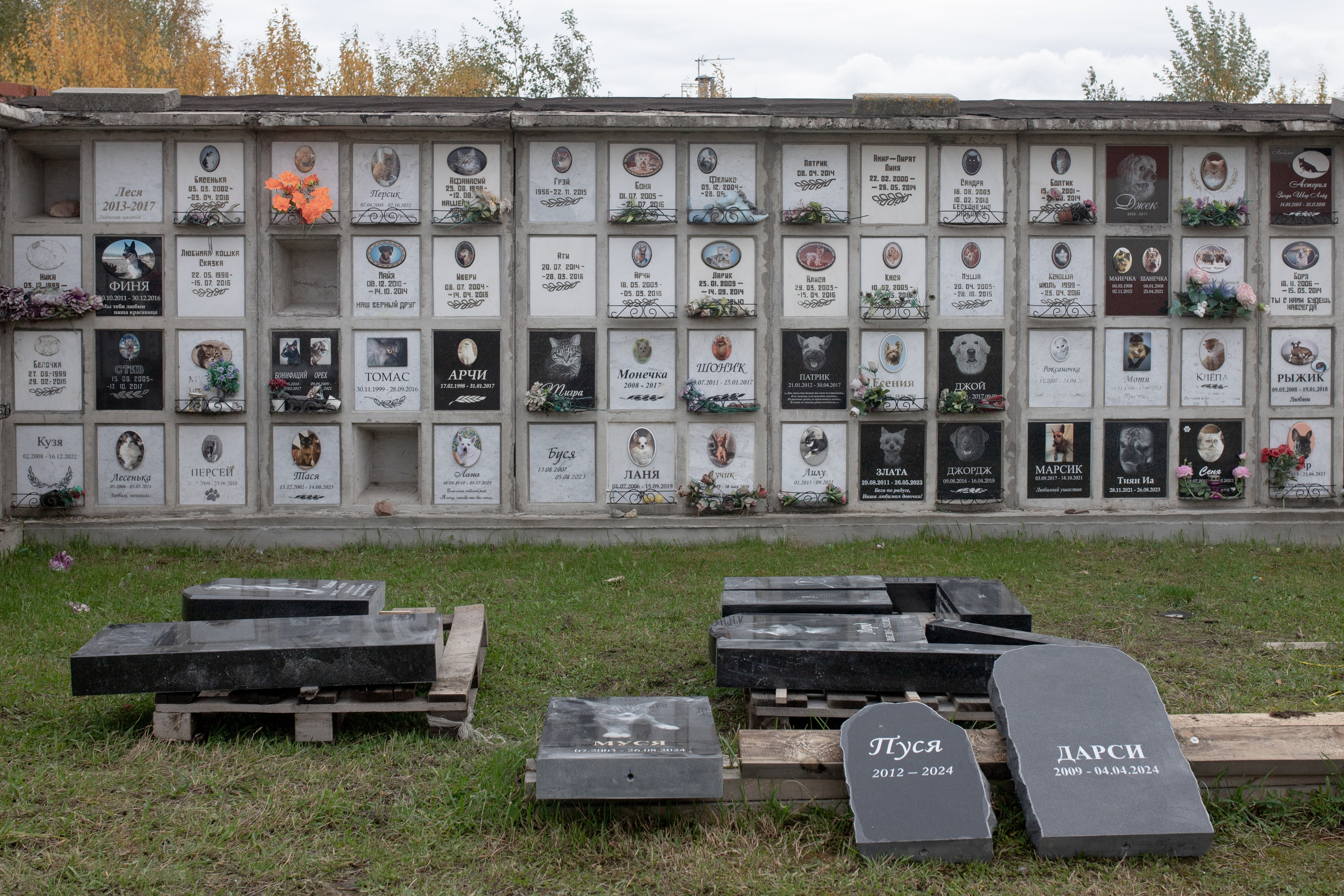 Пустота имеет место. Главная