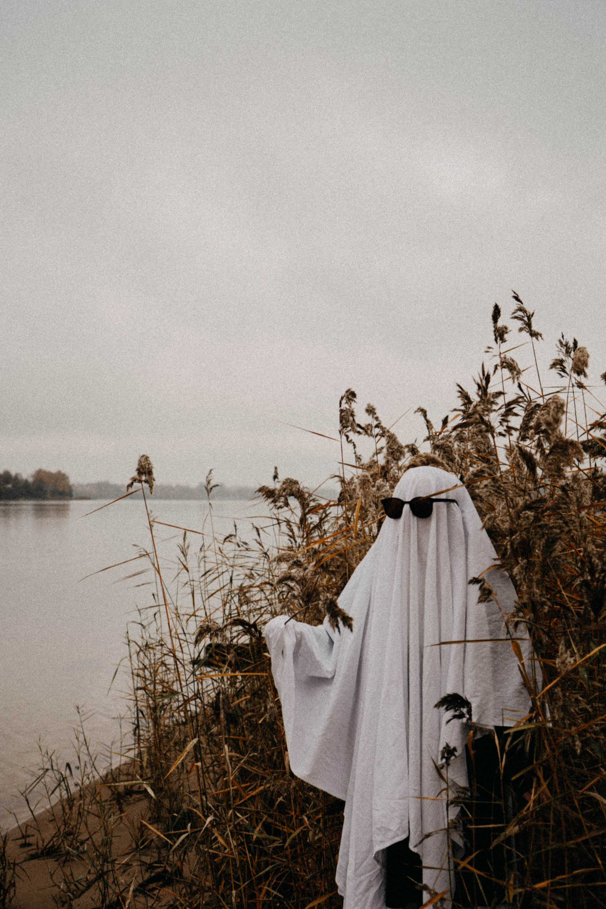 Осеняя. Профессиональный фотограф, Санкт-Петербург — Виктория Богомолова