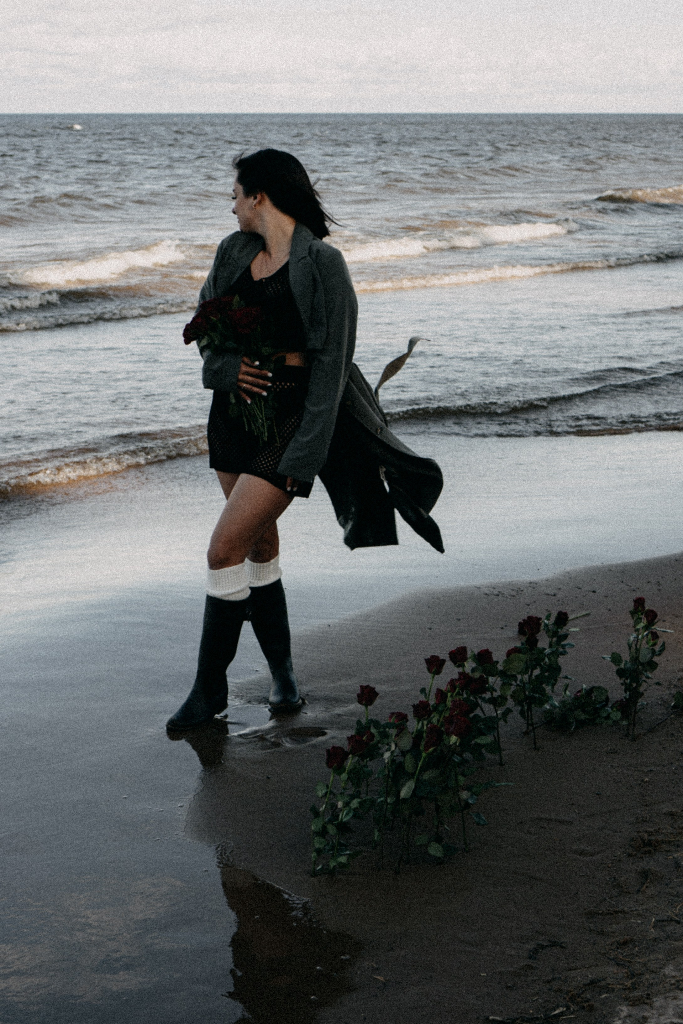 Розы. Профессиональный фотограф, Санкт-Петербург — Виктория Богомолова