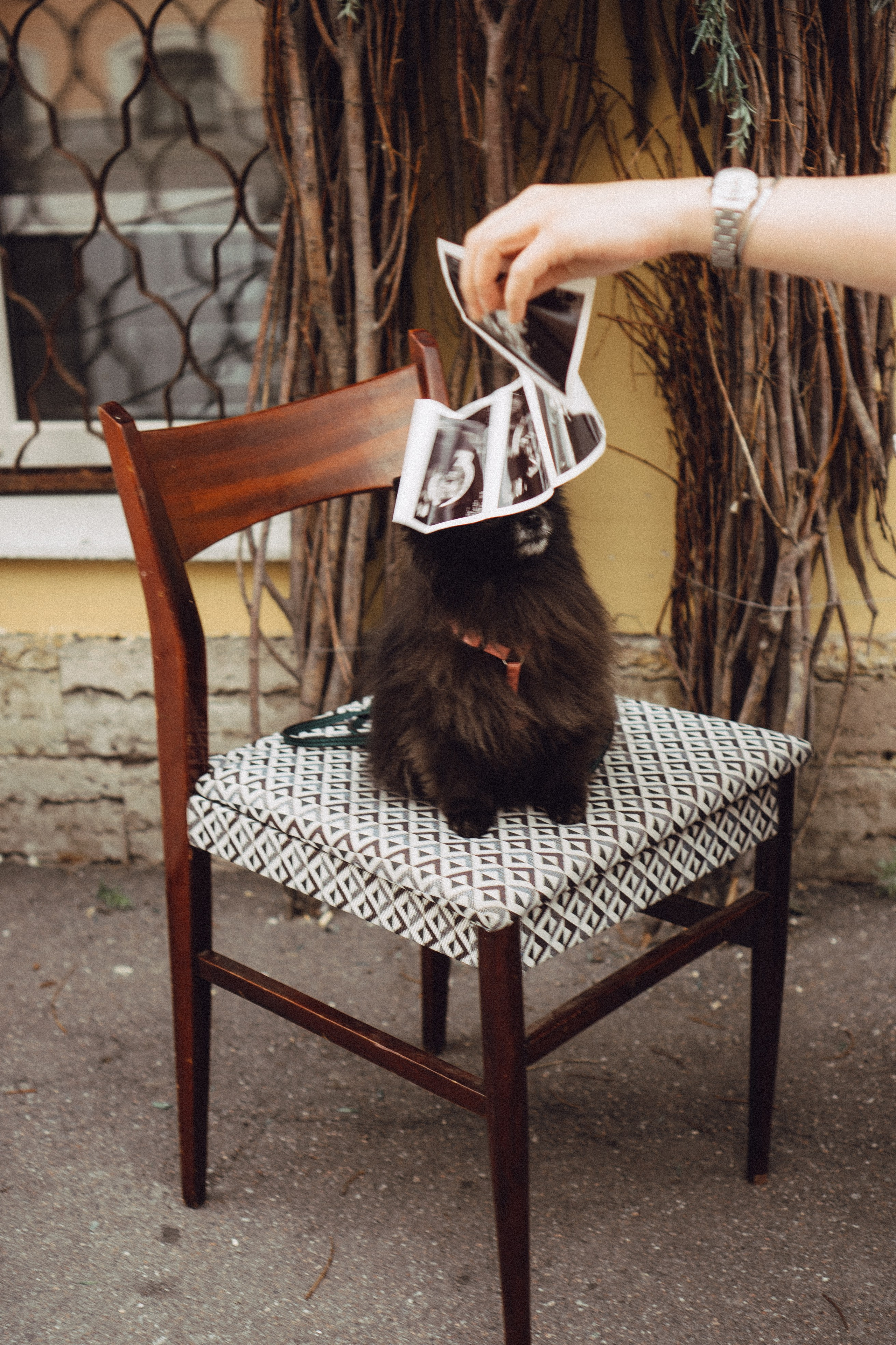 Беременность (только часть фото по желанию клиентов могу показать)). Профессиональный фотограф, Санкт-Петербург — Виктория Богомолова