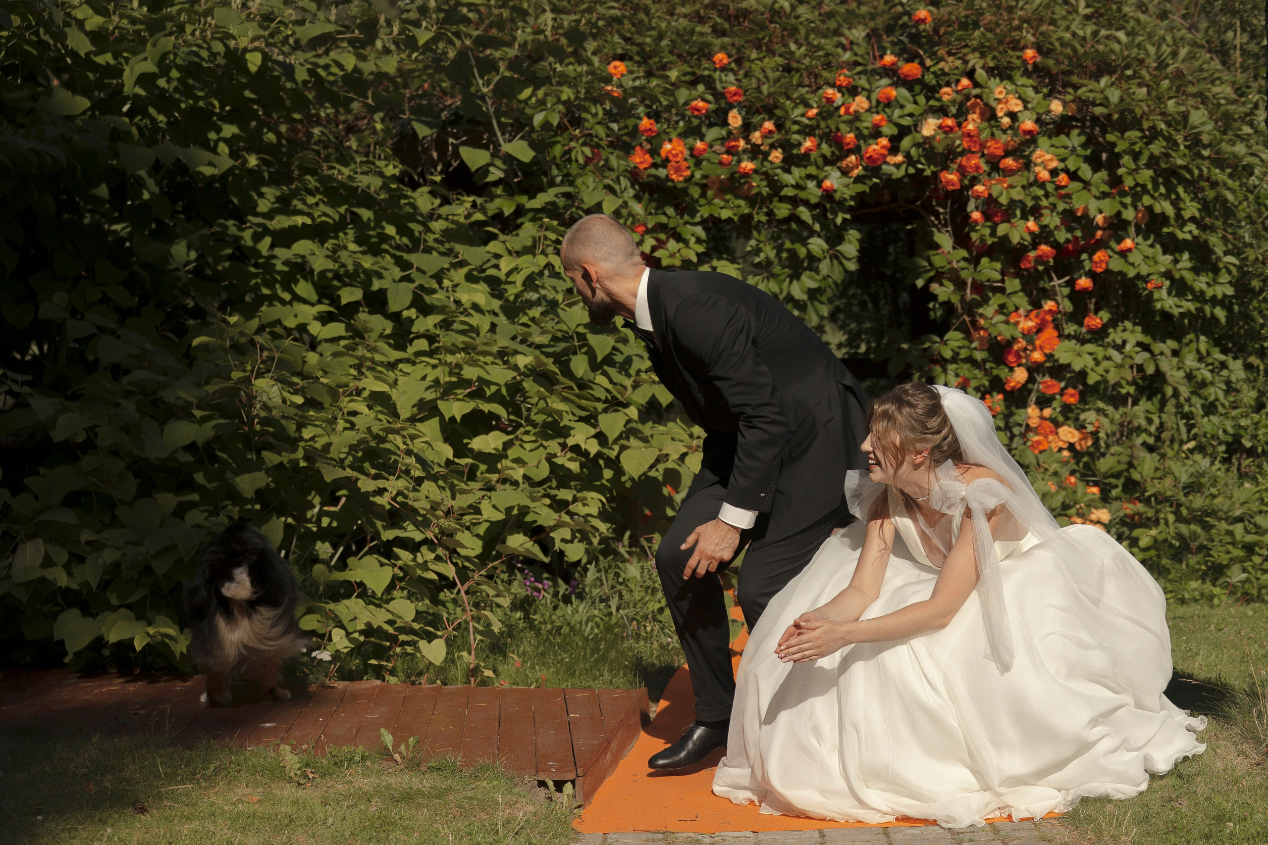 Mamma Mia! (Игорь & Катя). Wed Photographers 📷 Saint Petersburg