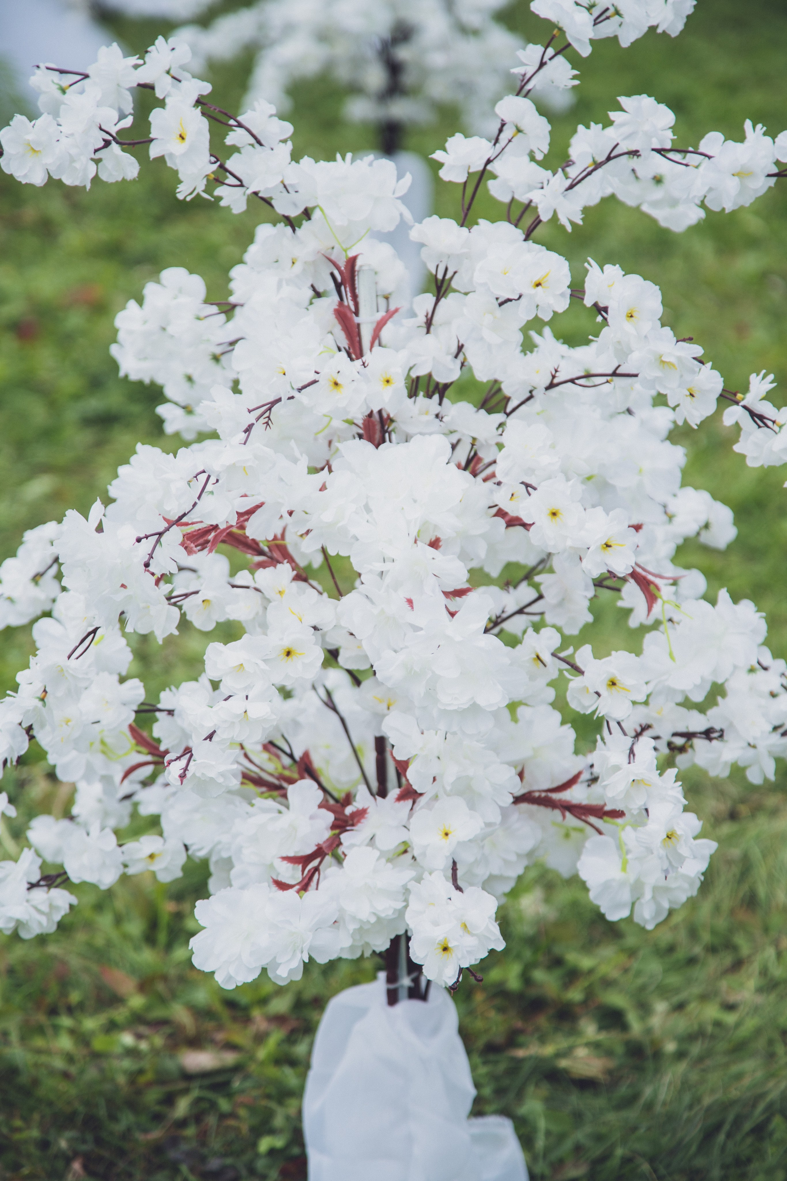 Алексей Полков — ФОТОГРАФ. Алексей Полков — ФОТОГРАФ