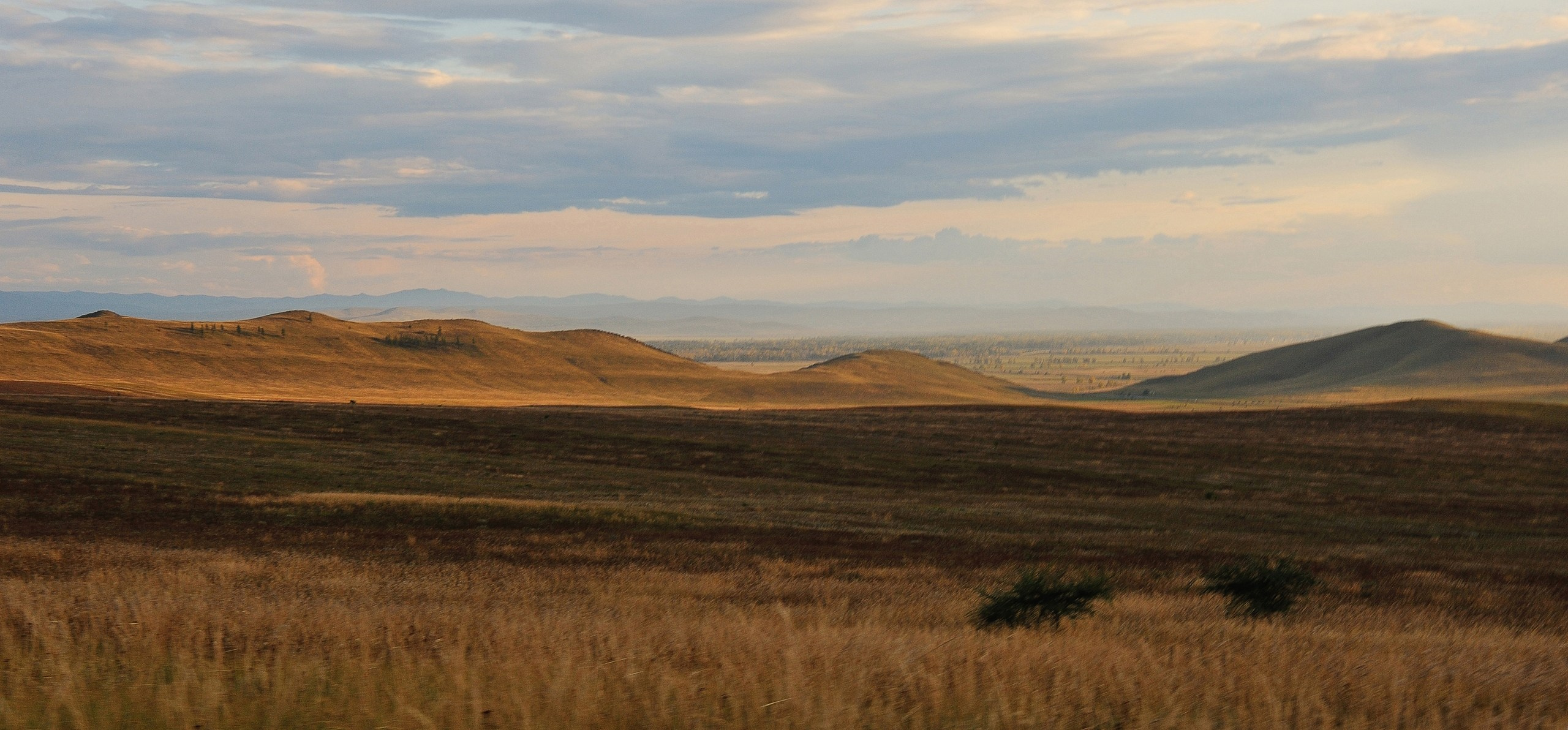 Хакасия цвет. Катерина Михеева