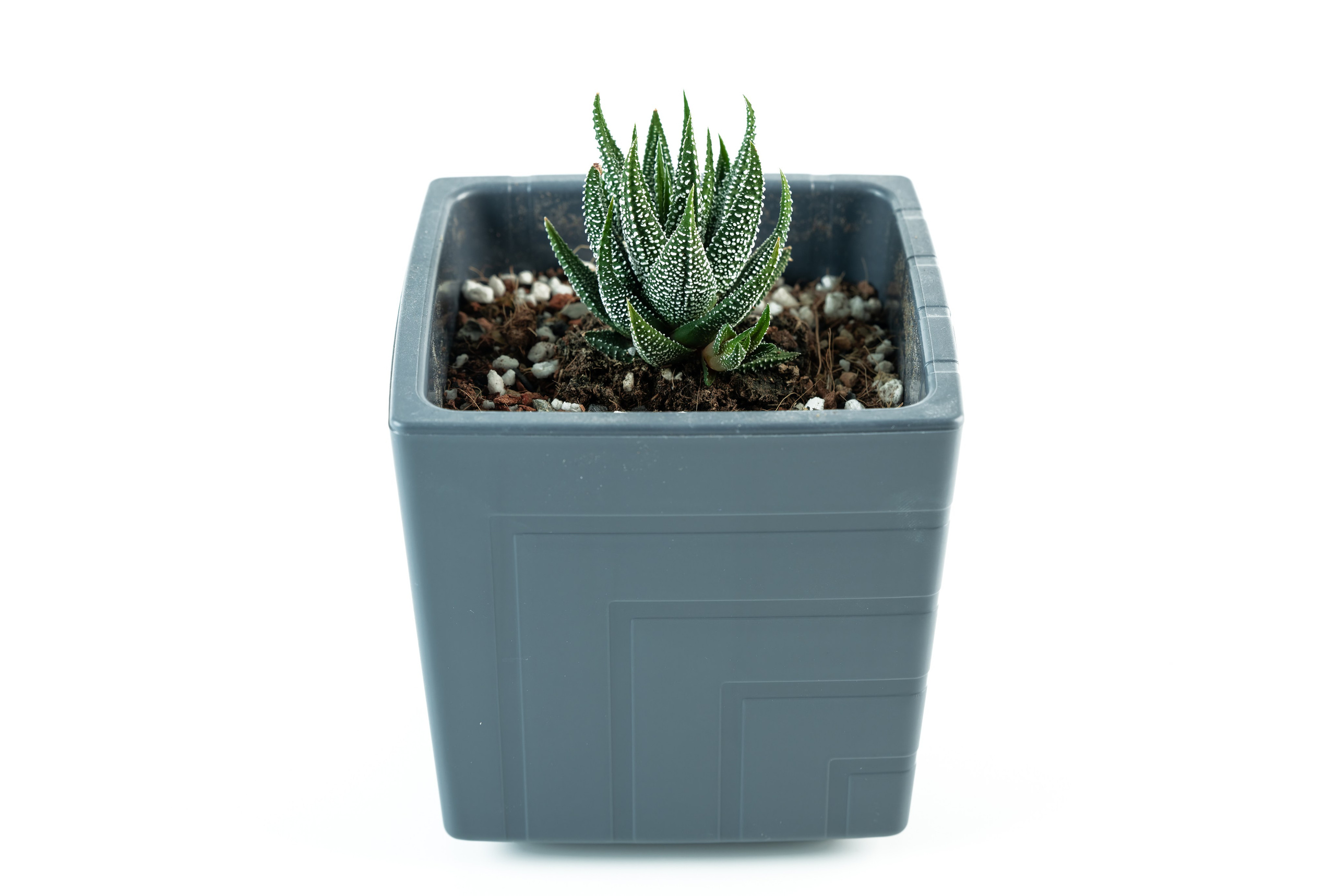 Предметная съёмка для маркетплейсов и каталогов