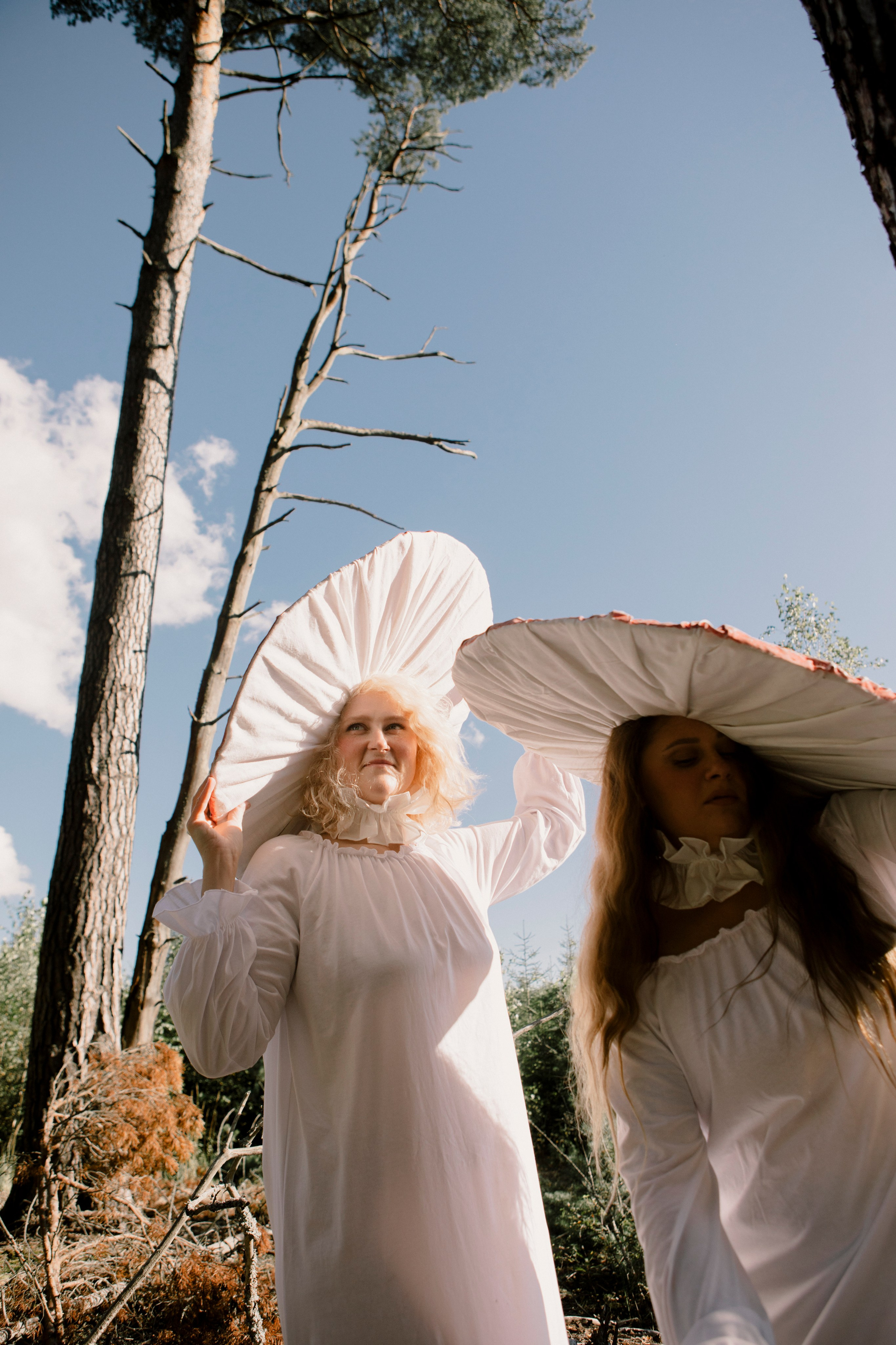 Грибы. Ольга Пилант. АРТ, бэкстейдж, свадебная и семейная фотография, городской портрет, интерьерная фотография