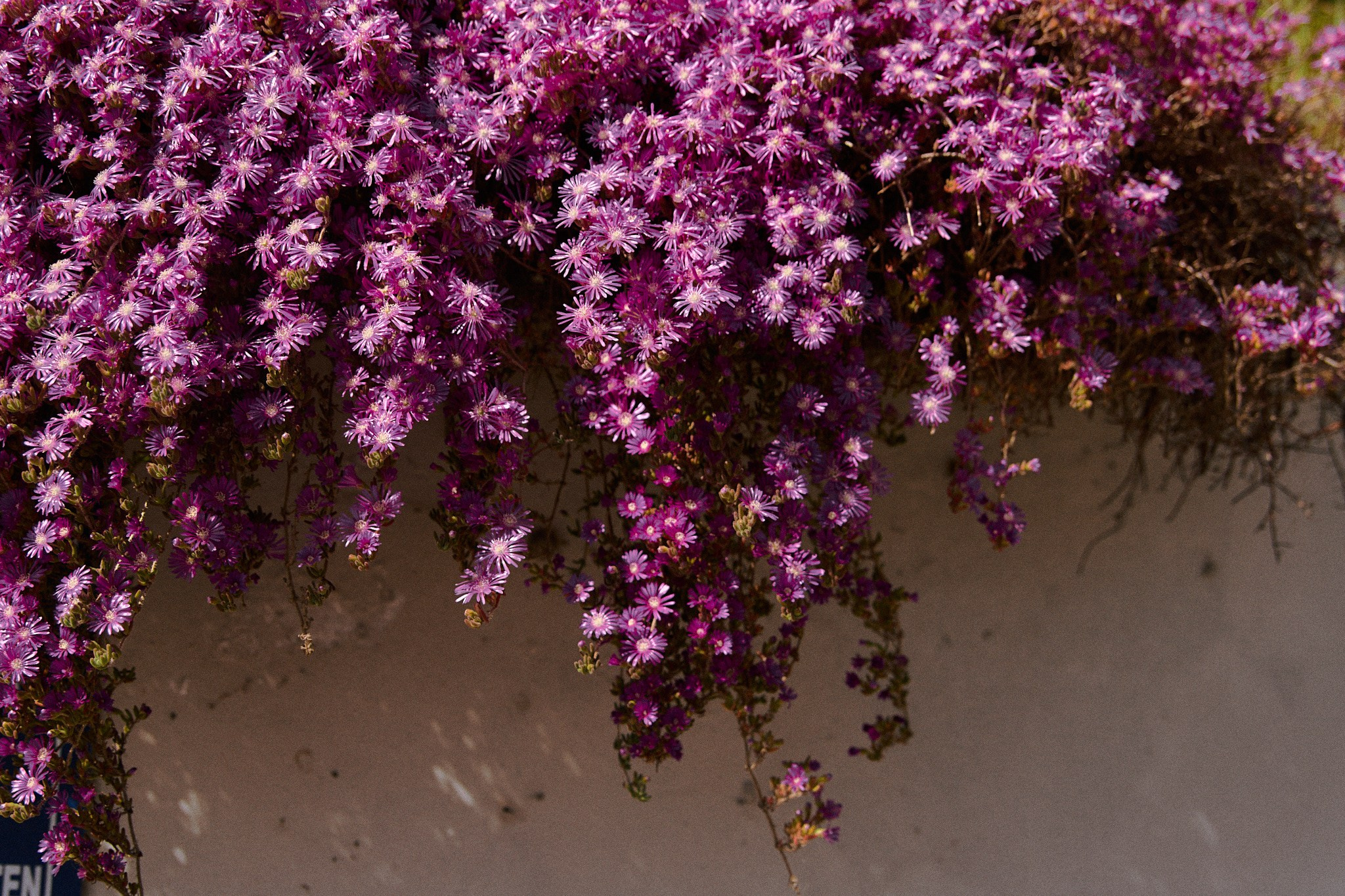 Улица горизонтальная. Jorgis — фотограф в Хургаде / обучение фотографии