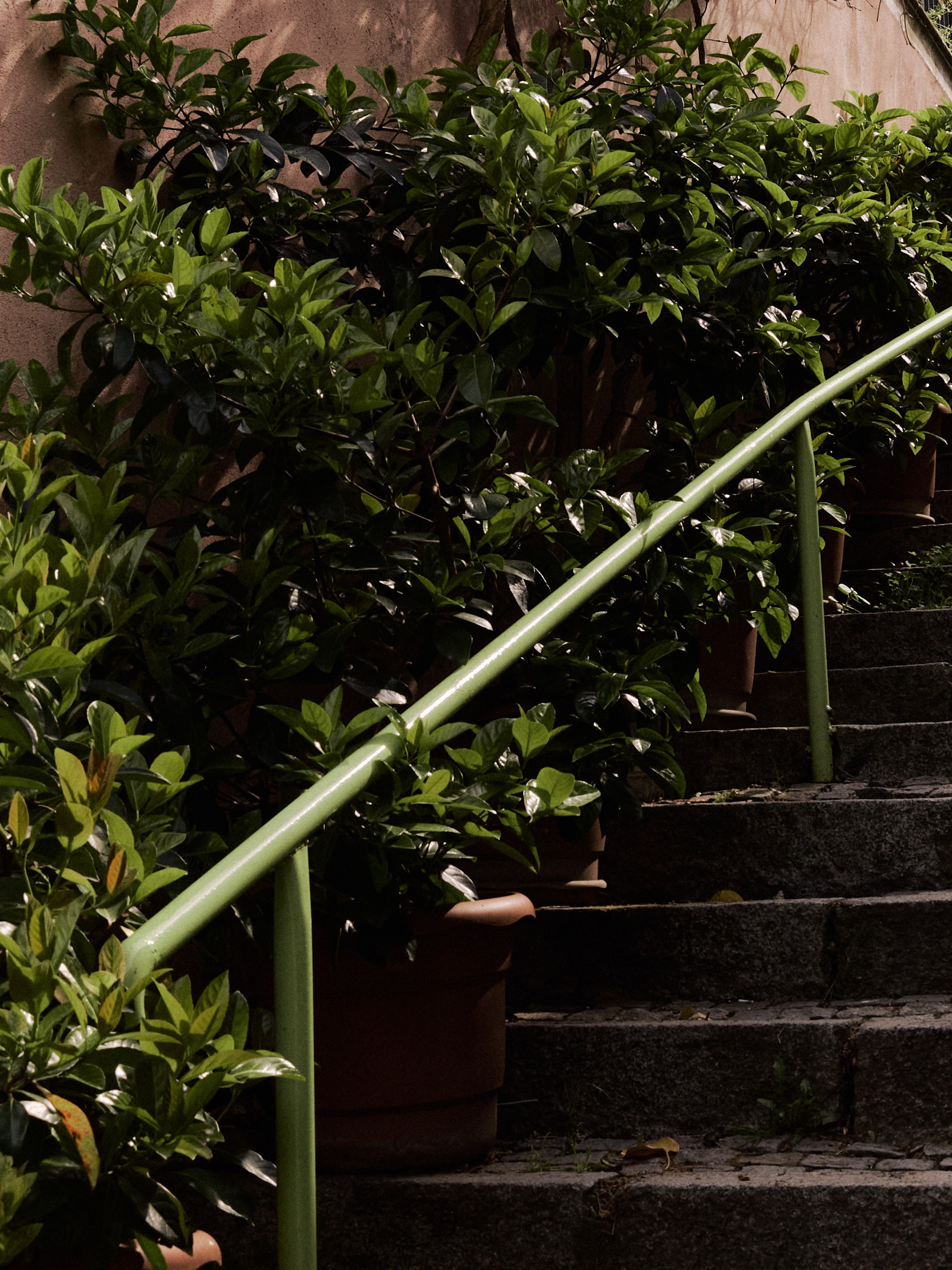 Диптих. Jorgis — фотограф в Хургаде / обучение фотографии