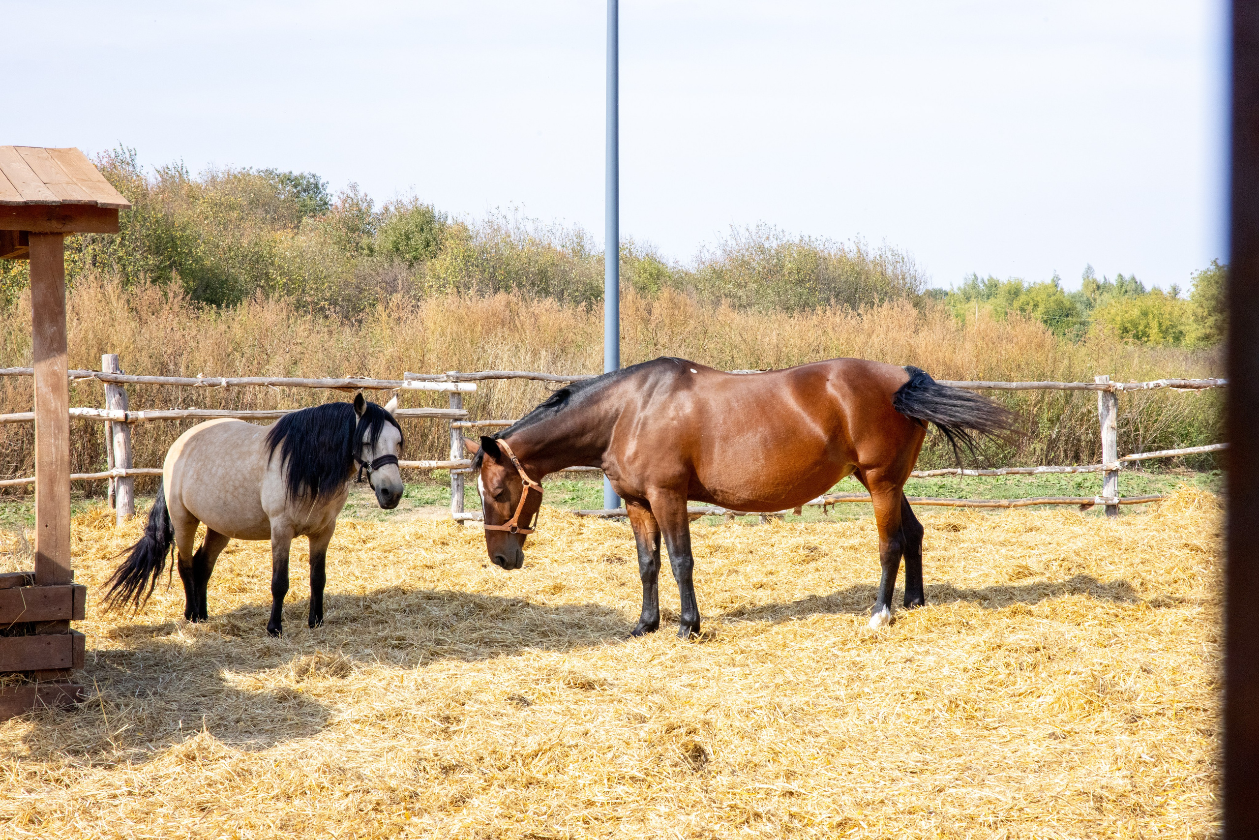 Поездка на поле Кулеково. Фотограф в Туле Крупский АнДРей. Фотостудия «КАДР71» в Туле