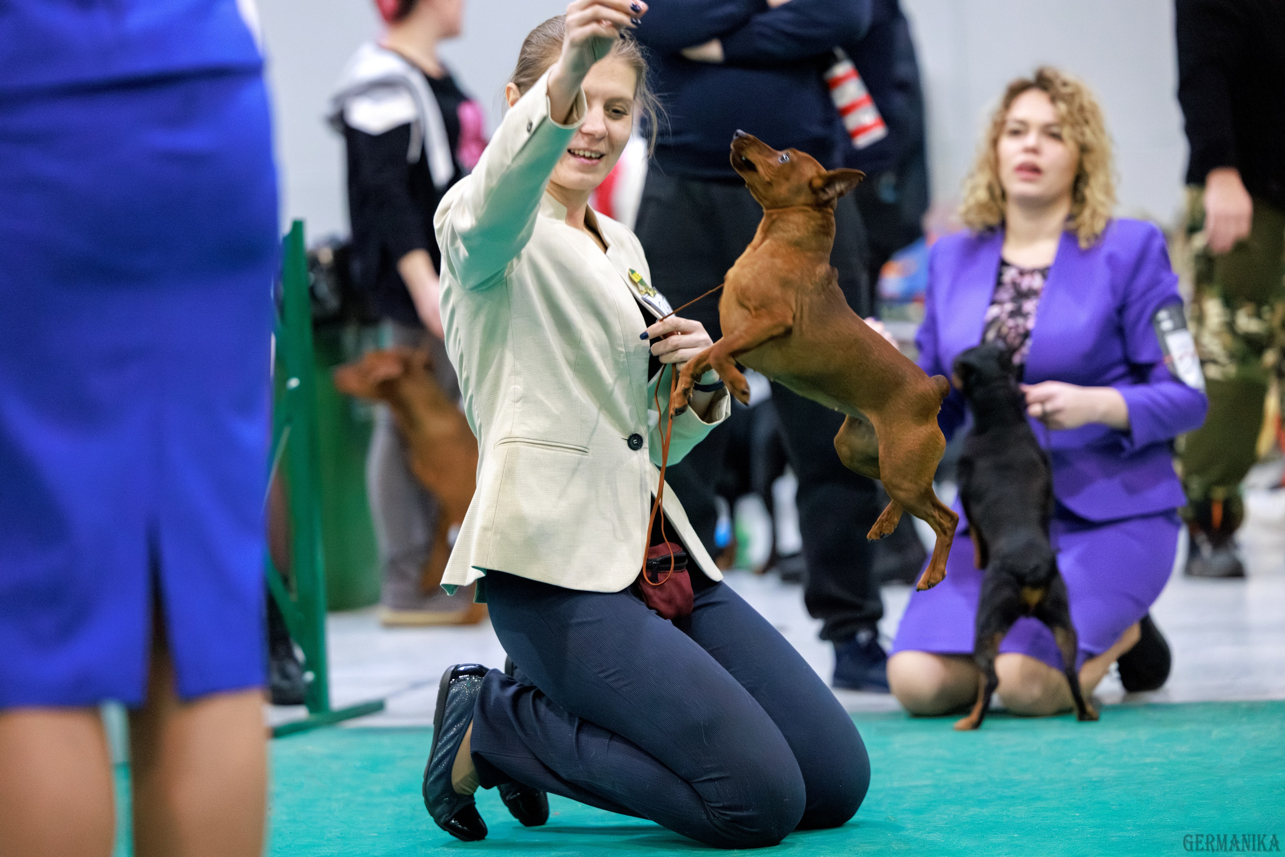 Крокус 10.02,Сфера 11.02.2024. Фотограф-анималист Юлия Германика