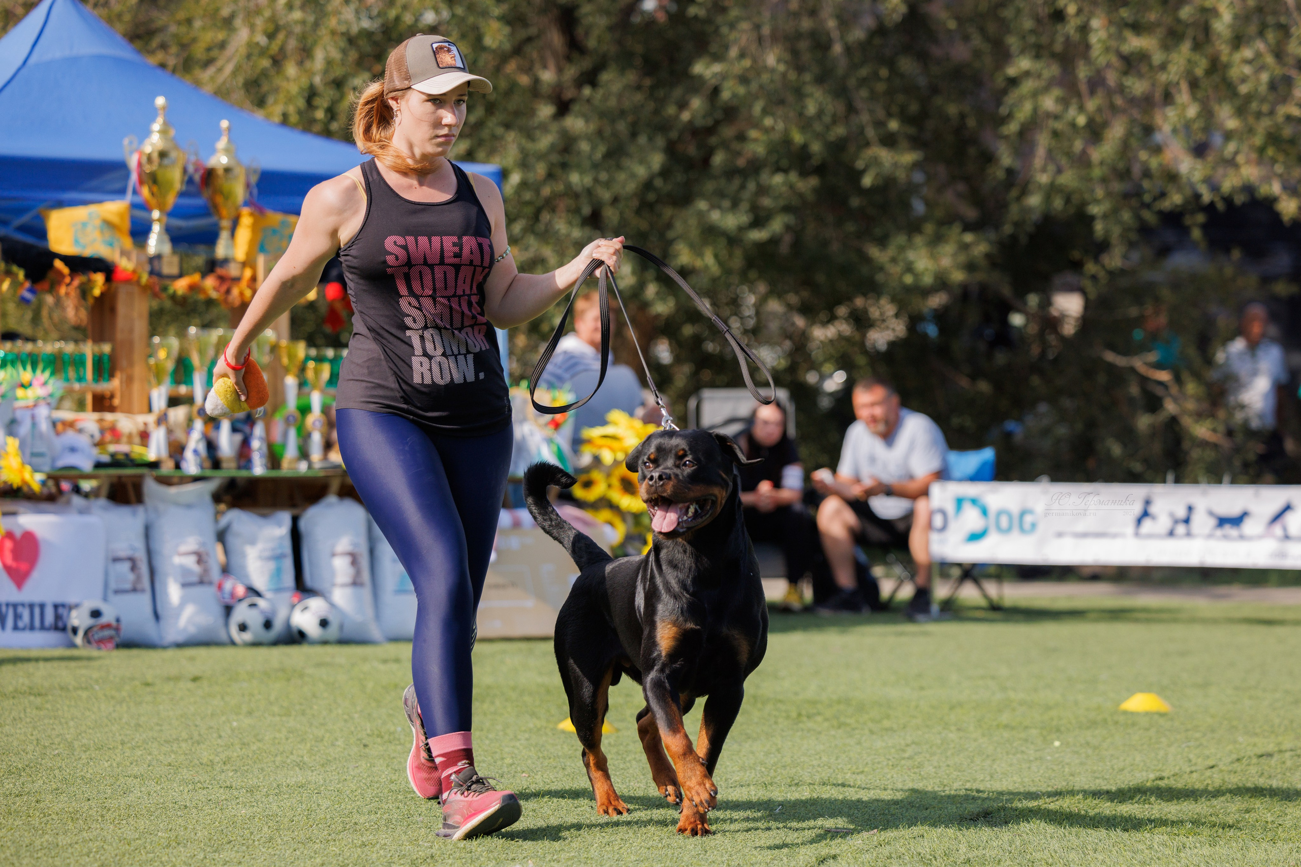 Анапа ротвейлеры 14-15.09.2024. Фотограф-анималист Юлия Германика