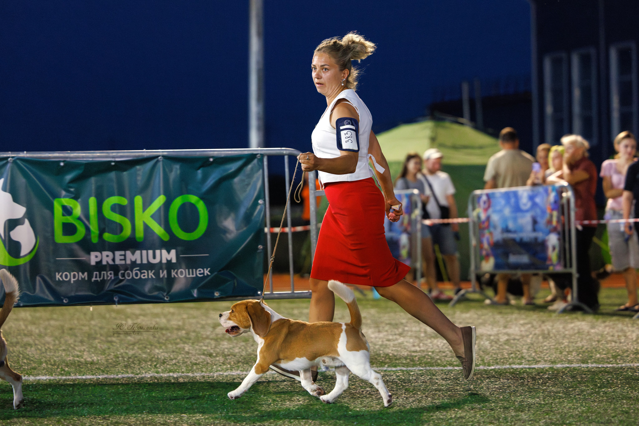 Волгоград 2-4.08.2024. Фотограф-анималист Юлия Германика