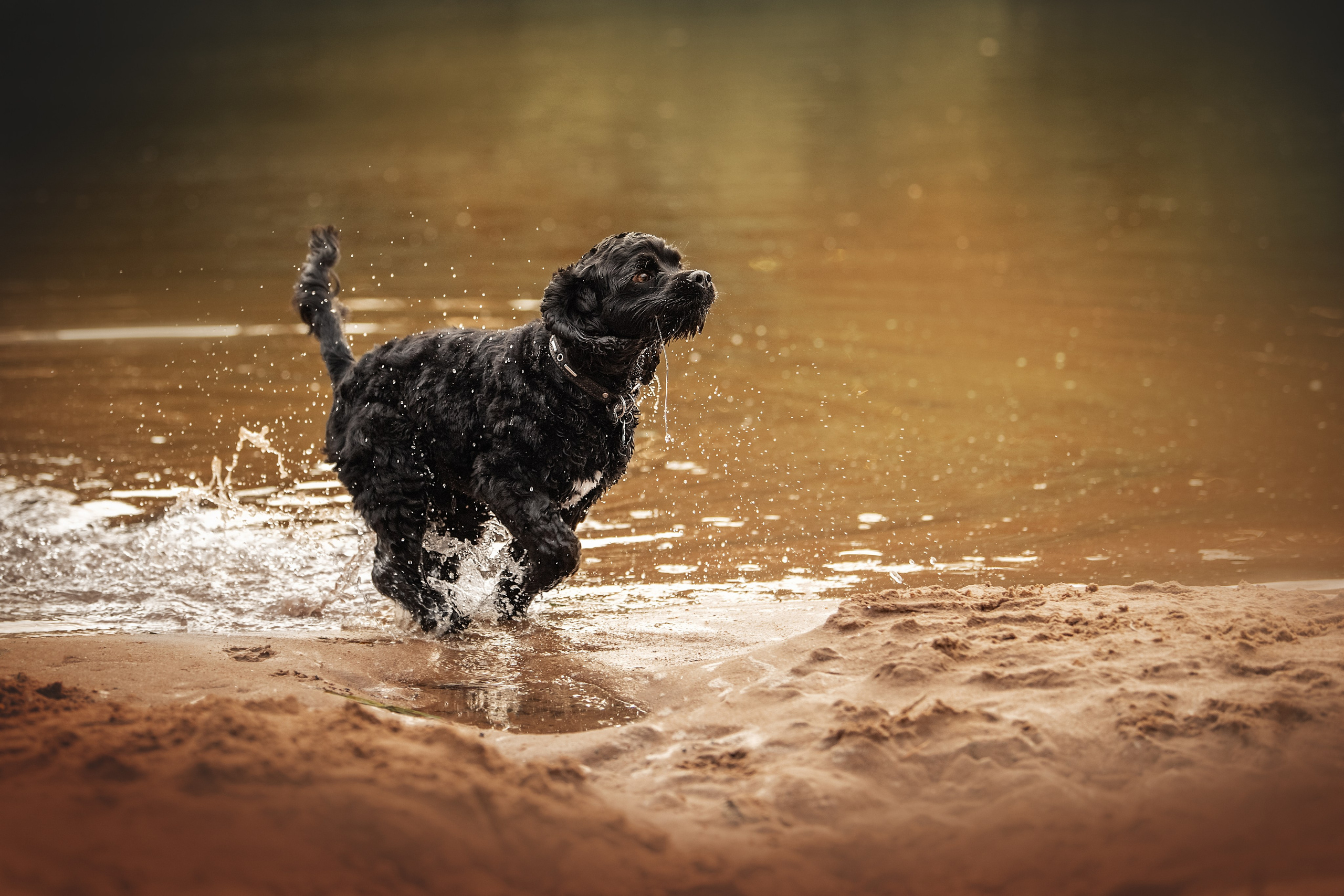 Lovestory Лена и Дима. Женский фотограф в Москве Богдашкина Динара