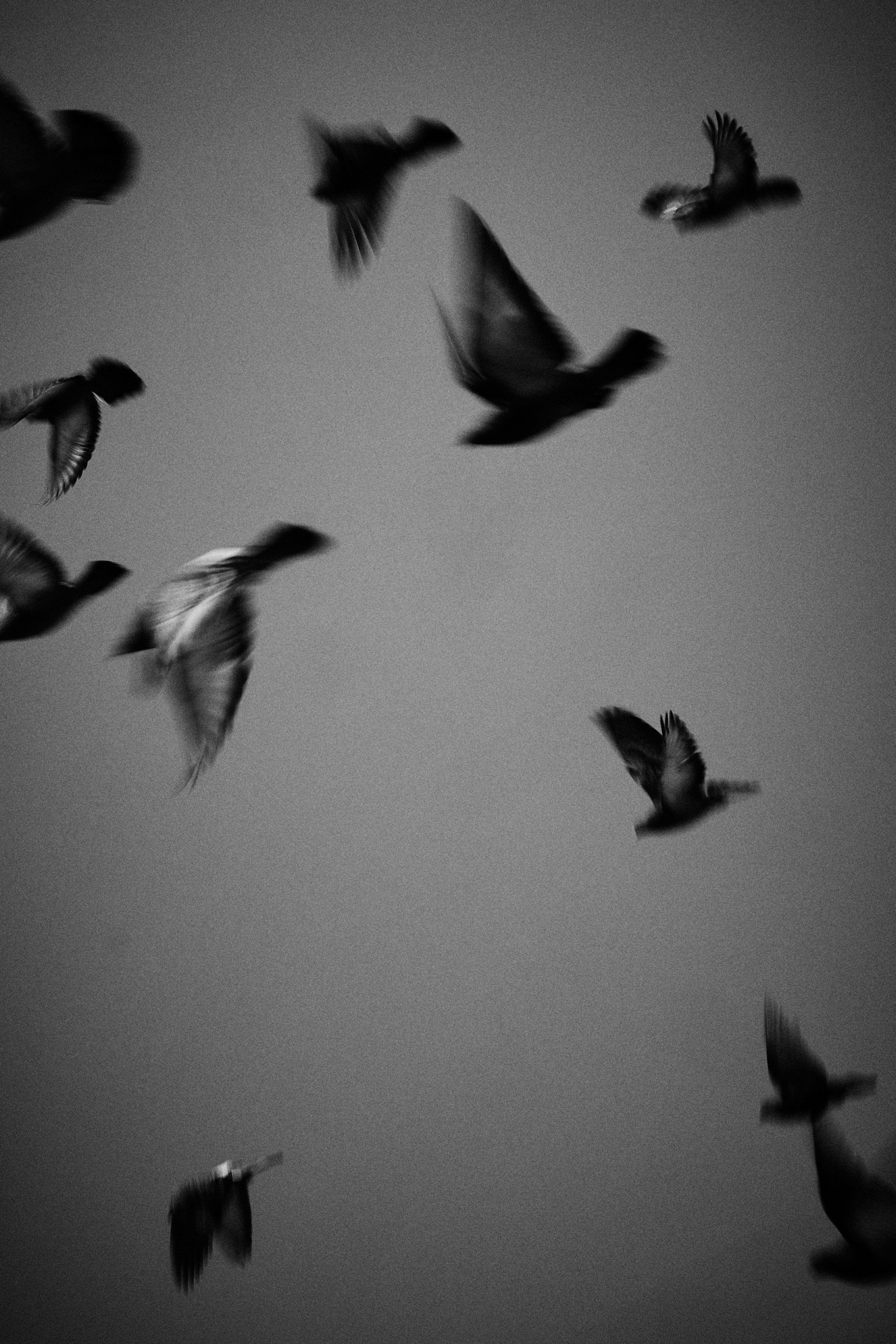 Москва в ЧБ. 23-24. Фотограф и оператор мероприятий, концертов и портретов в городе Москва