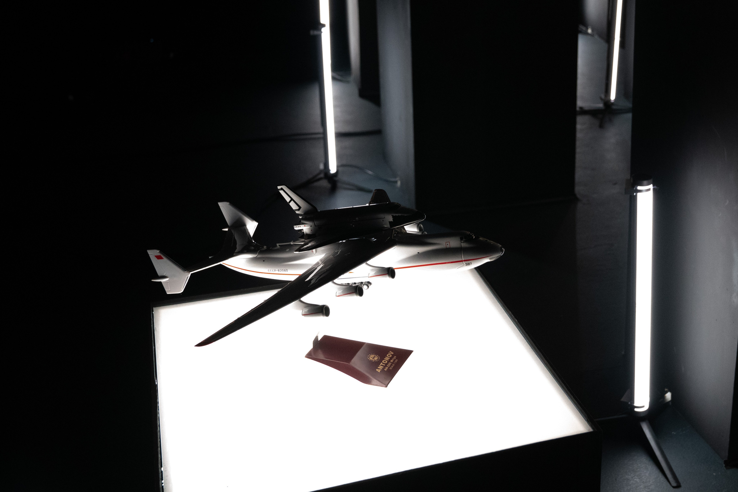 Back. Maria Abdullaeva