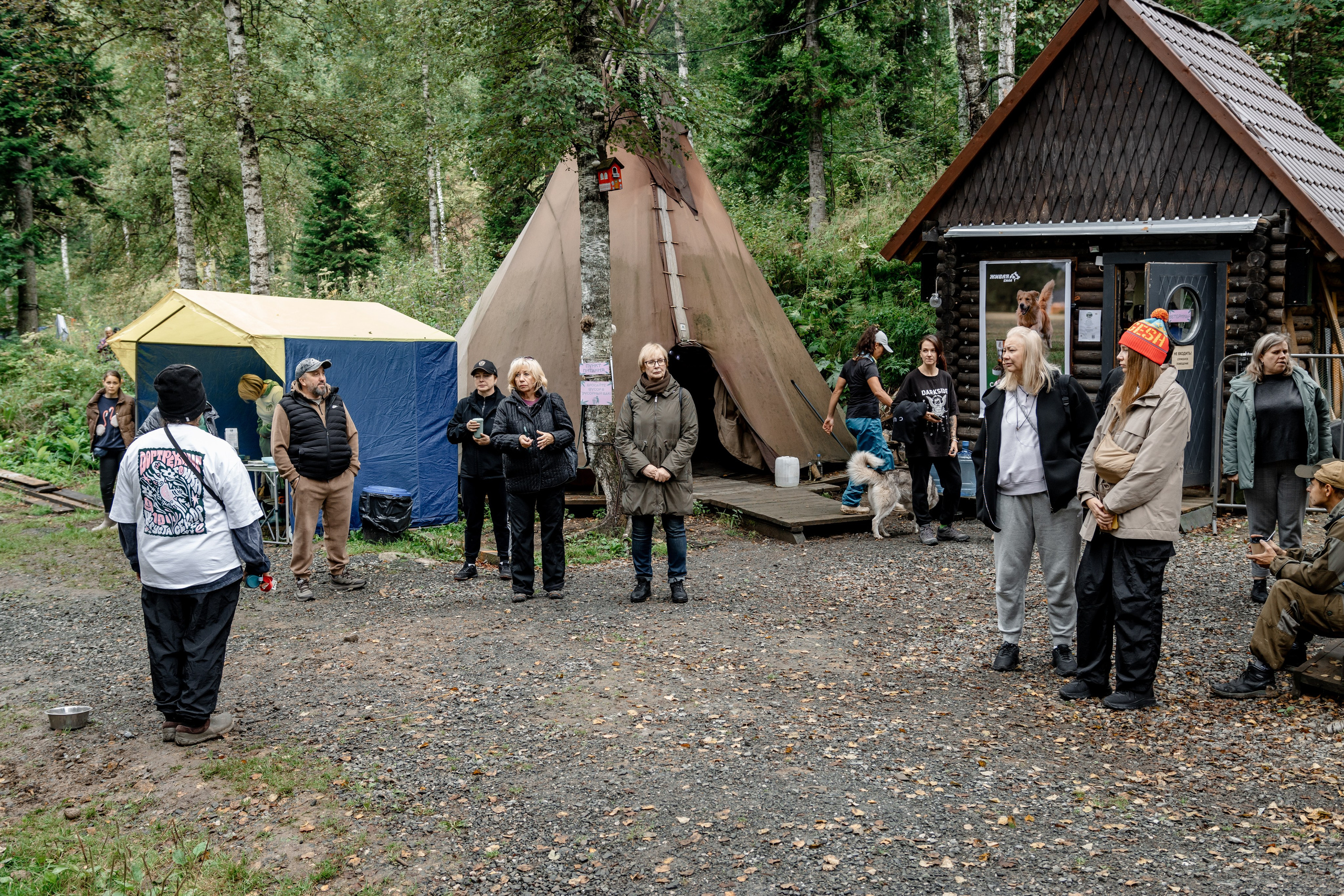 Дог-треккинг