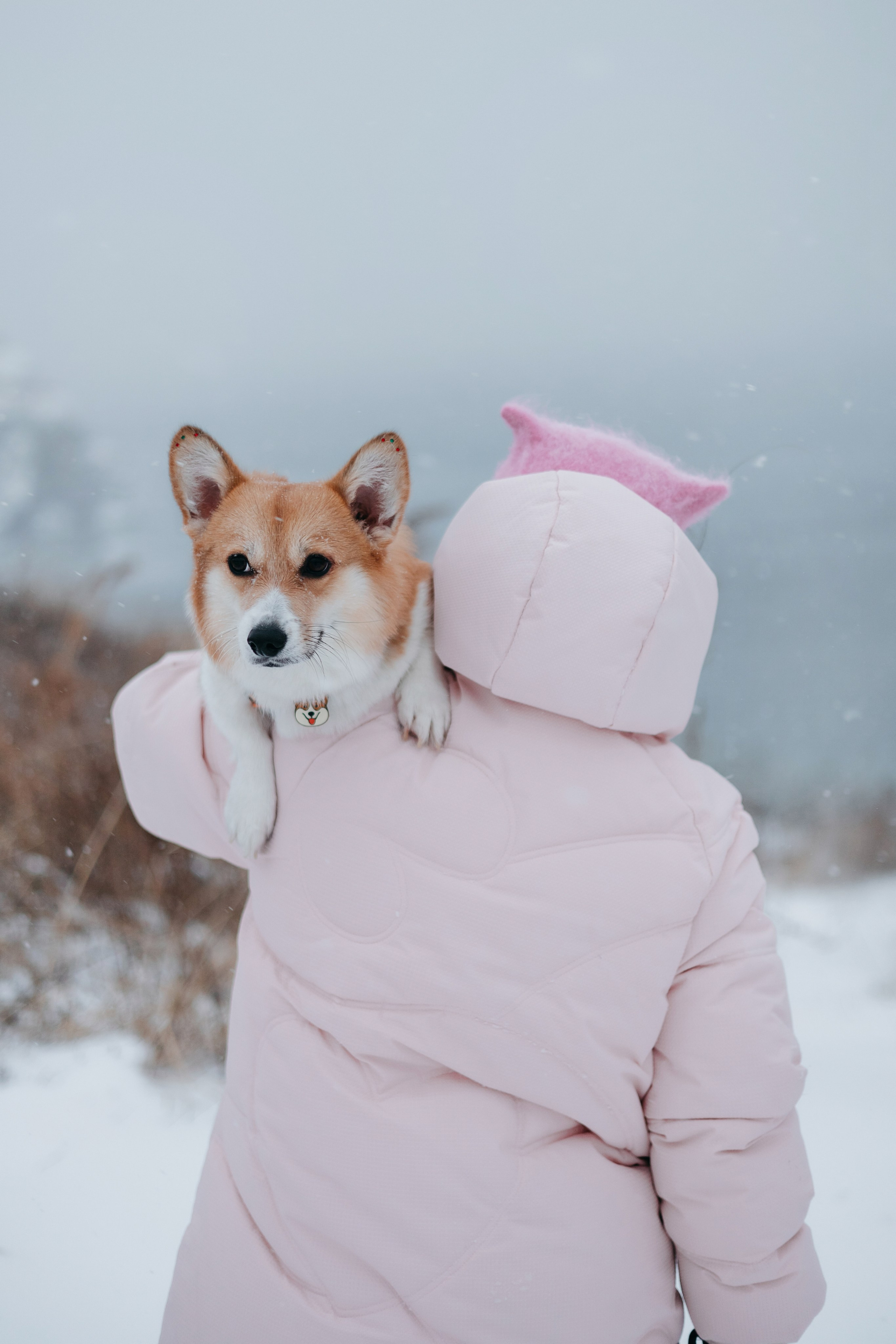 Лена, Лиза и Мия. Фотограф — анималист Владивосток, Алина