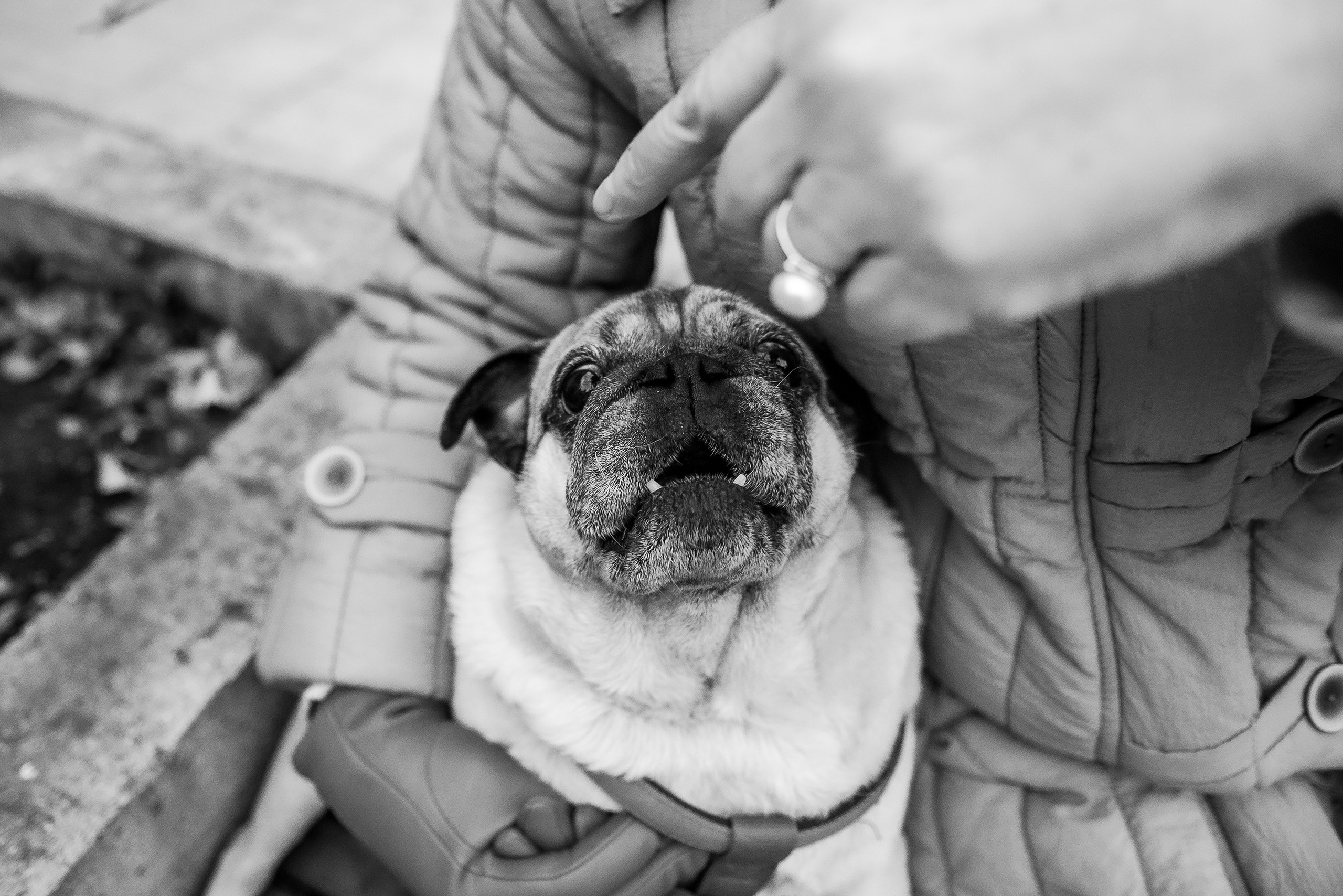 Ольга и Потапум. Прогулка к чайному дому. Семейный Фотограф в Москве Ирина Хохлова