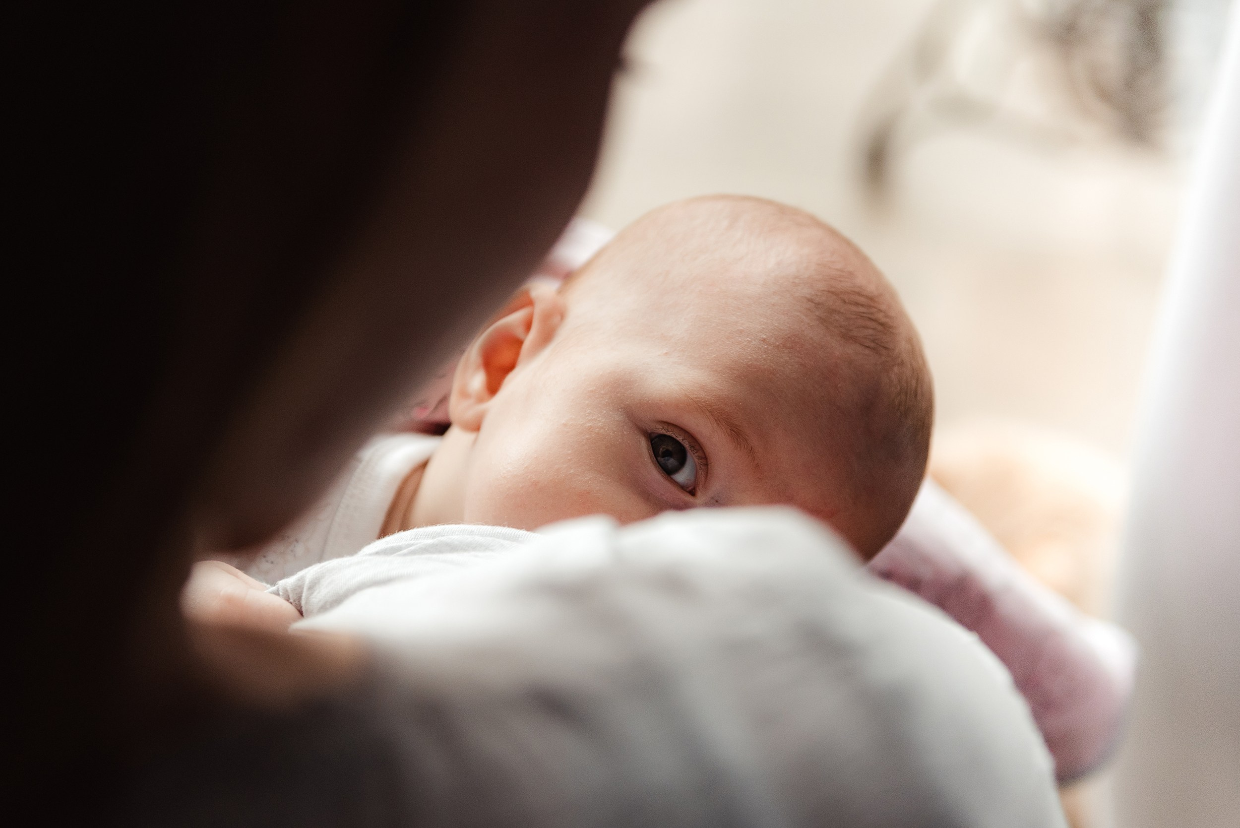 Алена, Виктор, Оливка и Ластик. Семейный Фотограф в Москве Ирина Хохлова