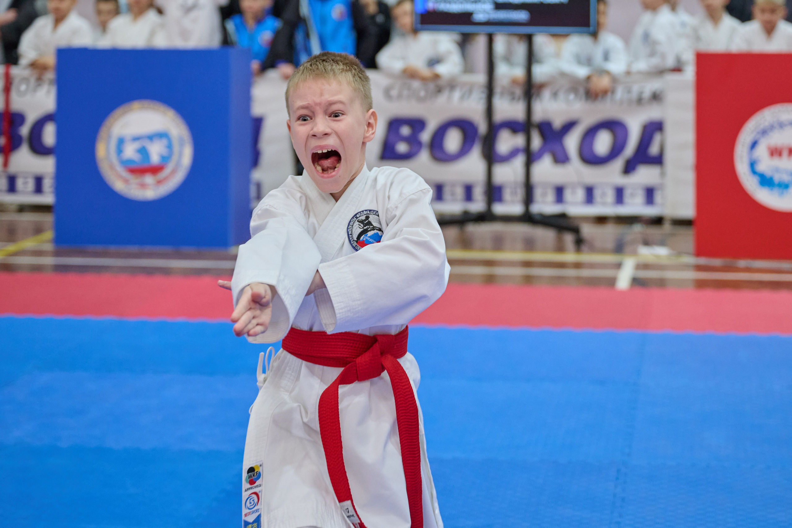 Чемпионат первенства Приморья по карате 28.03.26. Профессиональный репортажный фотограф Инесса Иминова