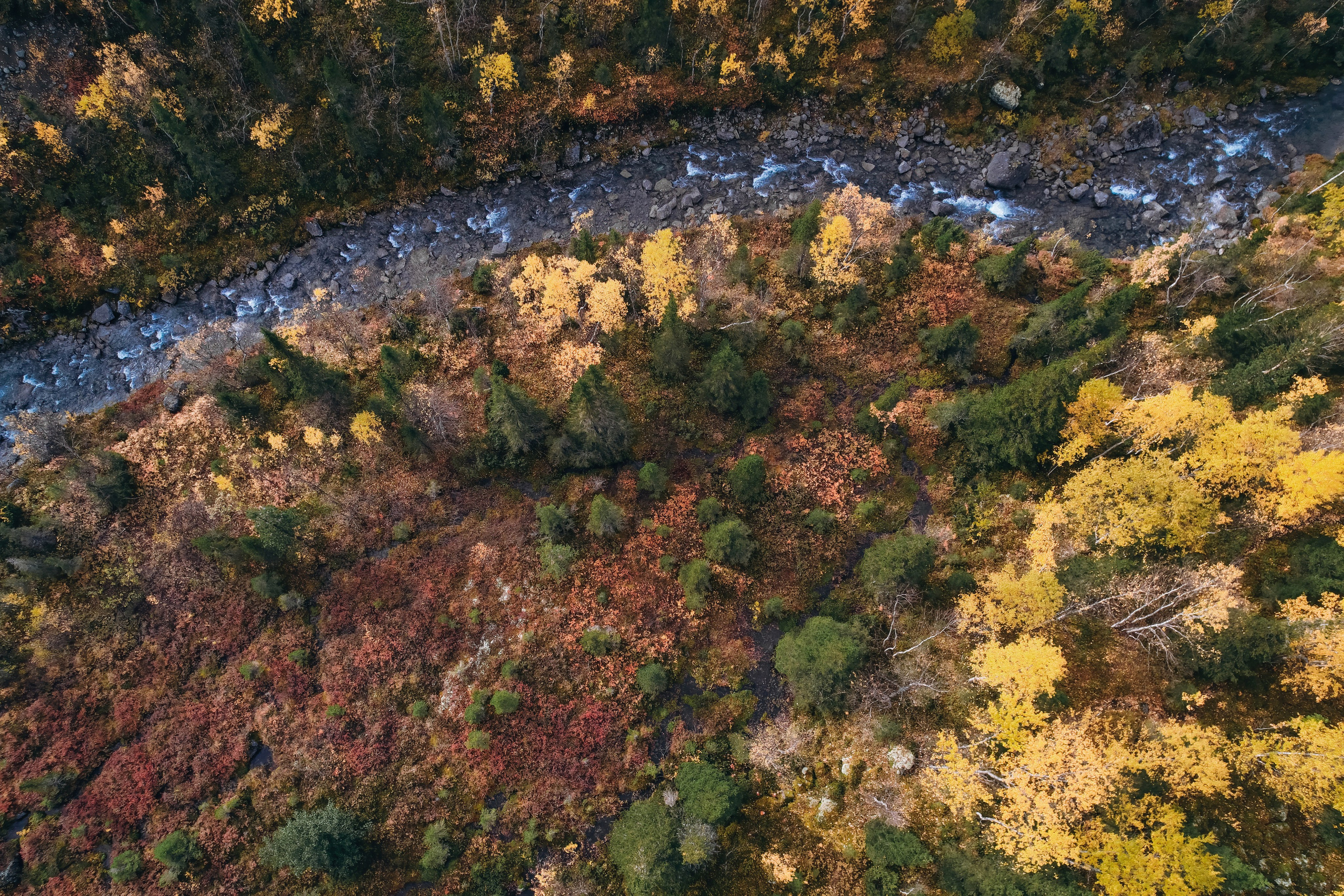СЕВЕР. Event фотограф Степанова Александра