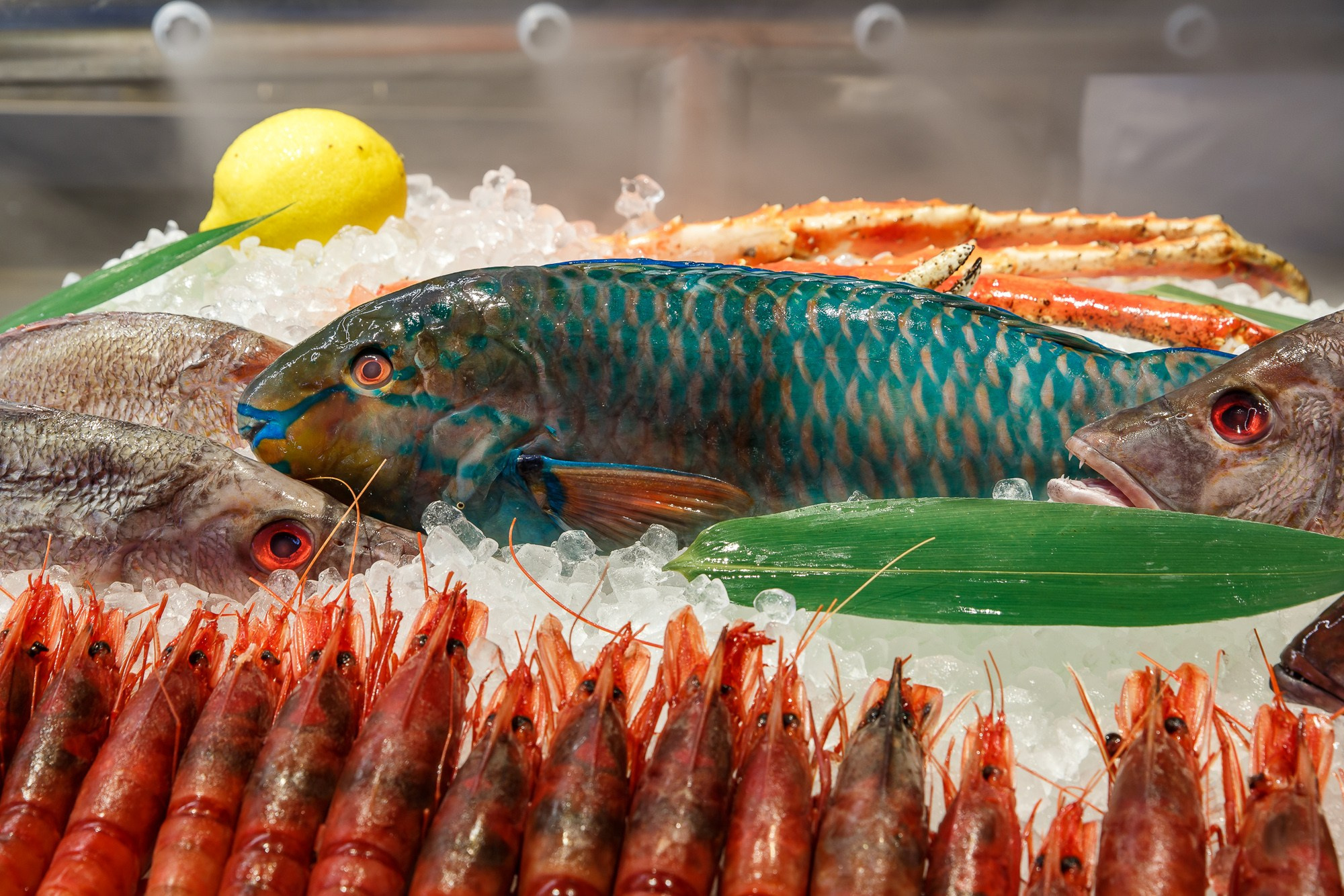 Amy. Photographer Ksenia Kolesnikova. Interior, Product, and Portrait Photography in Moscow