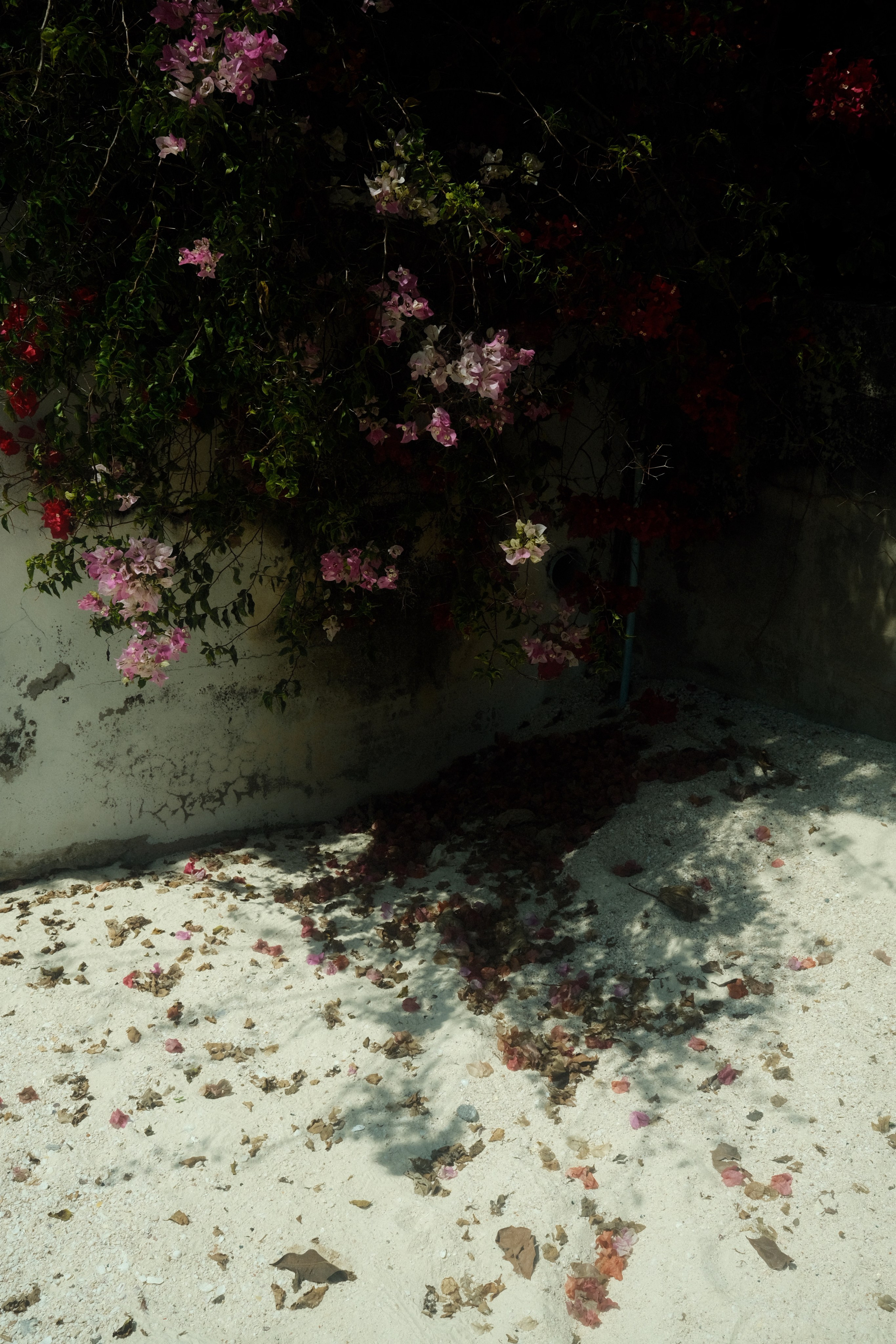 Невесомость. Портретный фотограф