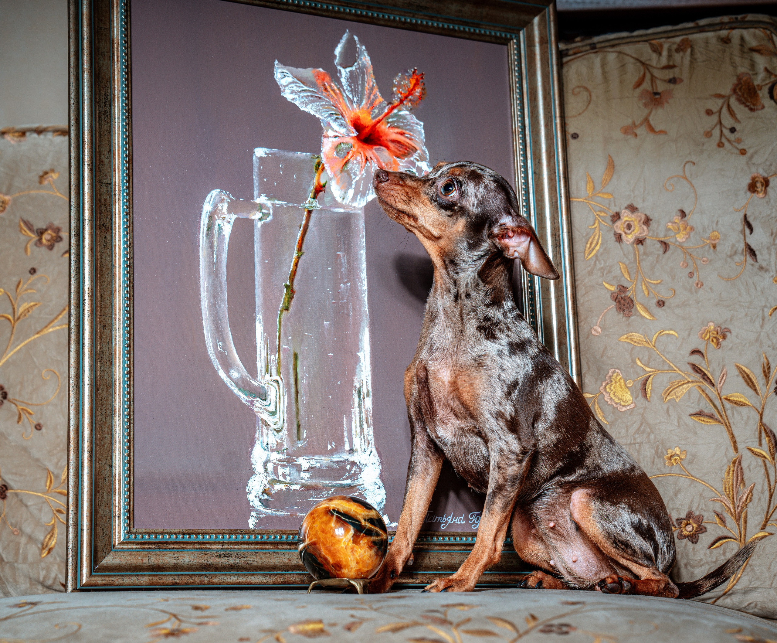 ФОТОПАМЯТЬ ВАШИХ ЭМОЦИЙ. Фотограф-анималист, семейный фотограф в Москве и Подмосковье. Фотосъёмка кинологических дисциплин