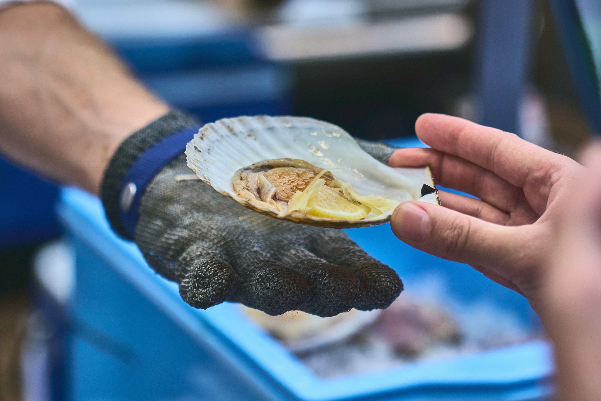 Asian Night Market. Фотограф во Владивостоке