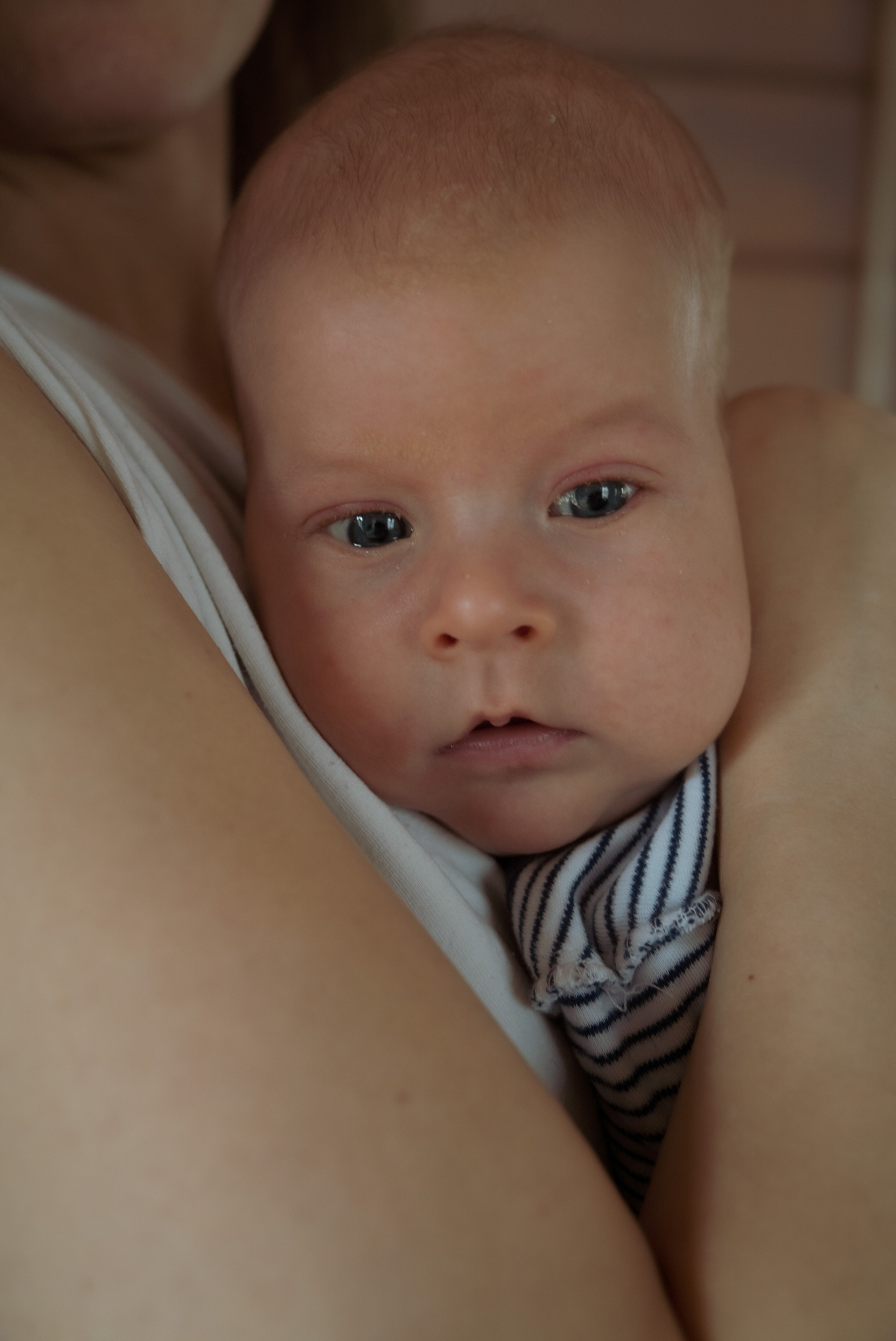 Домашняя фотосессия с двумя детьми. Видеограф Осинина Татьяна — видеосъемка в Москве